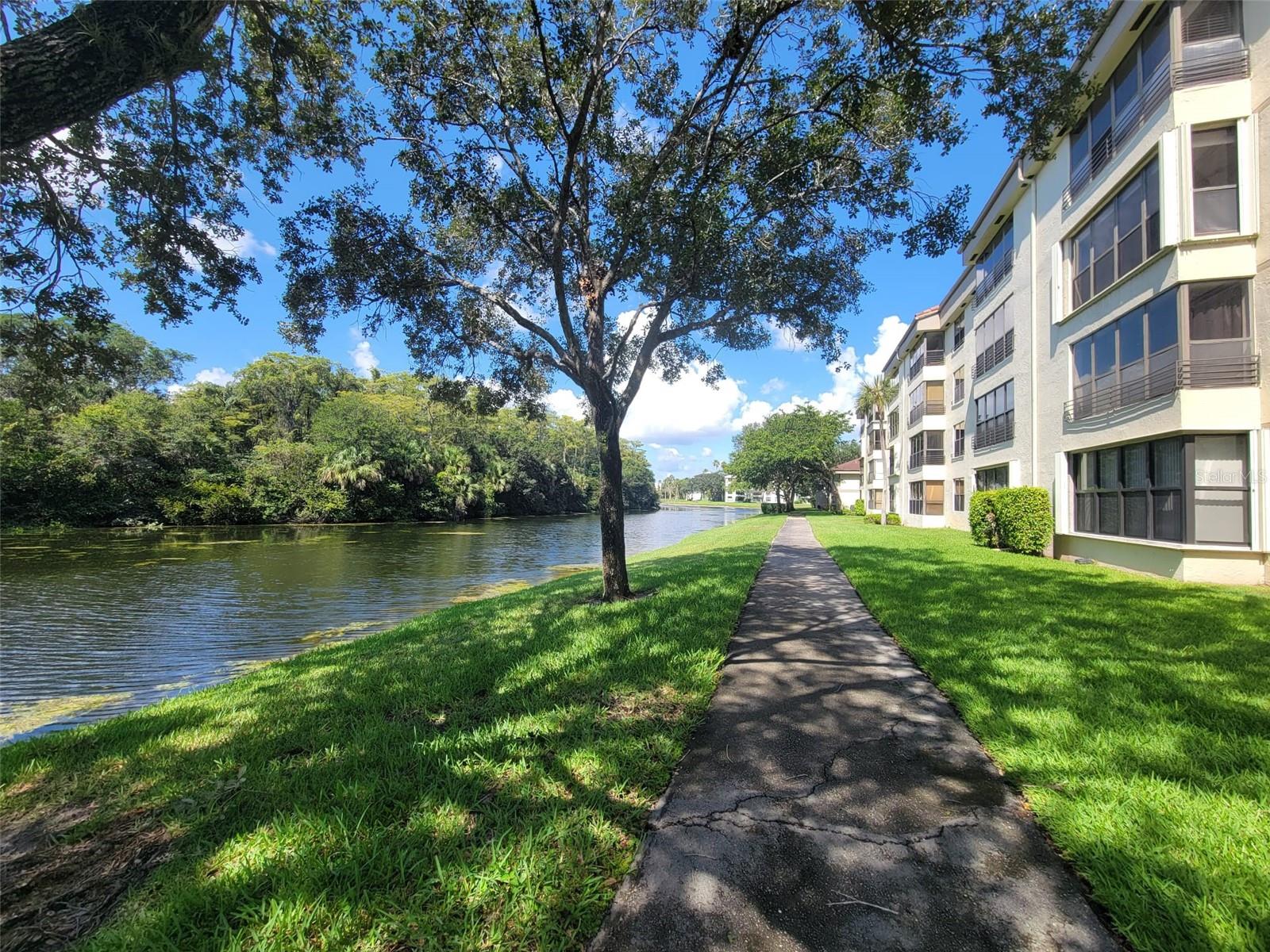 Listing photo id 18 for 2907 Carambola Circle S 206