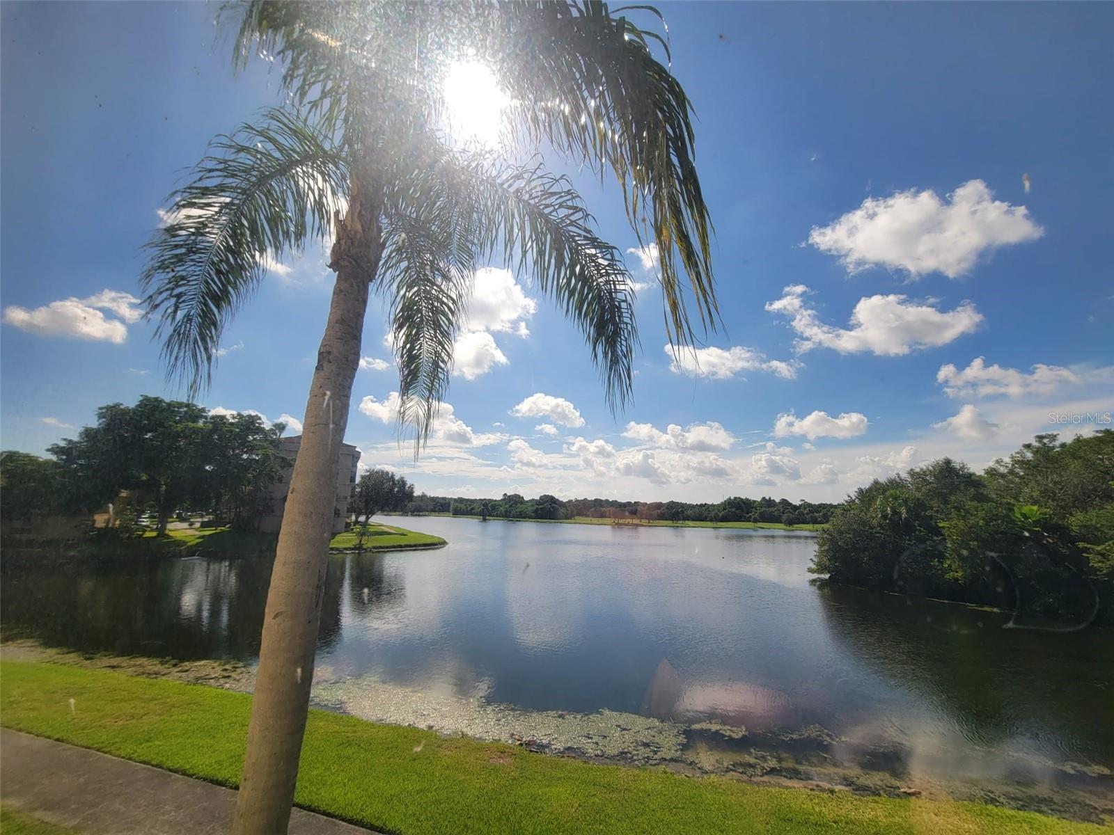 Listing photo id 4 for 2907 Carambola Circle S 206