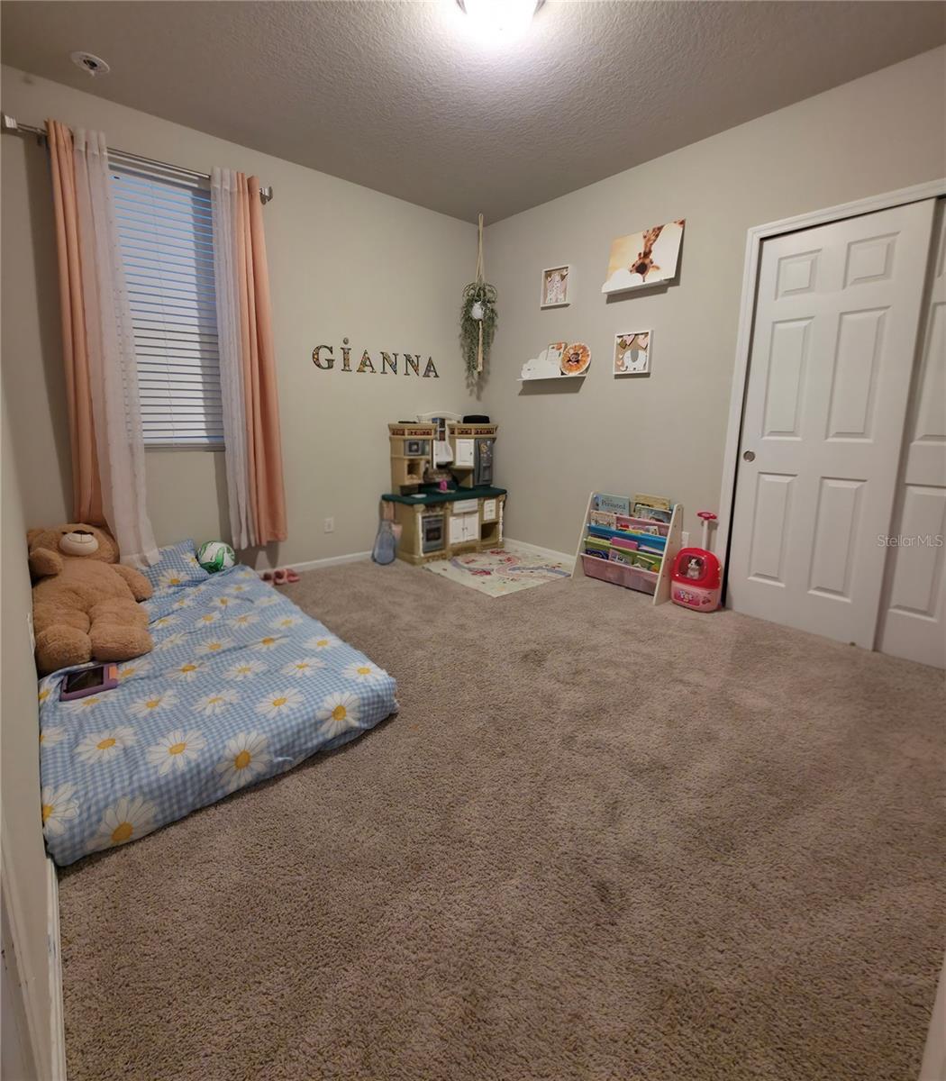 Image 17 of 30 For 29798 Anahid Drive