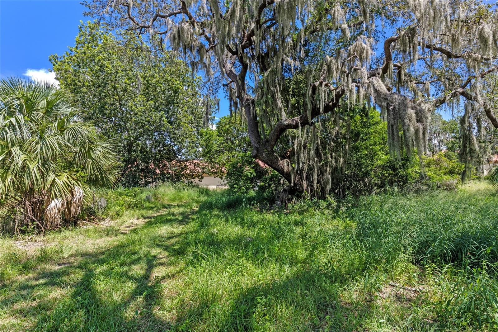 Image 8 of 19 For  8th Street 