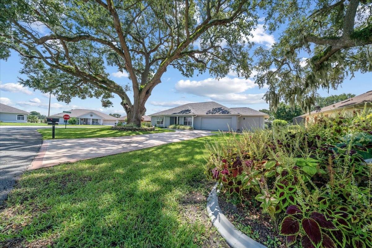Image 65 of 80 For 11584 175th Street