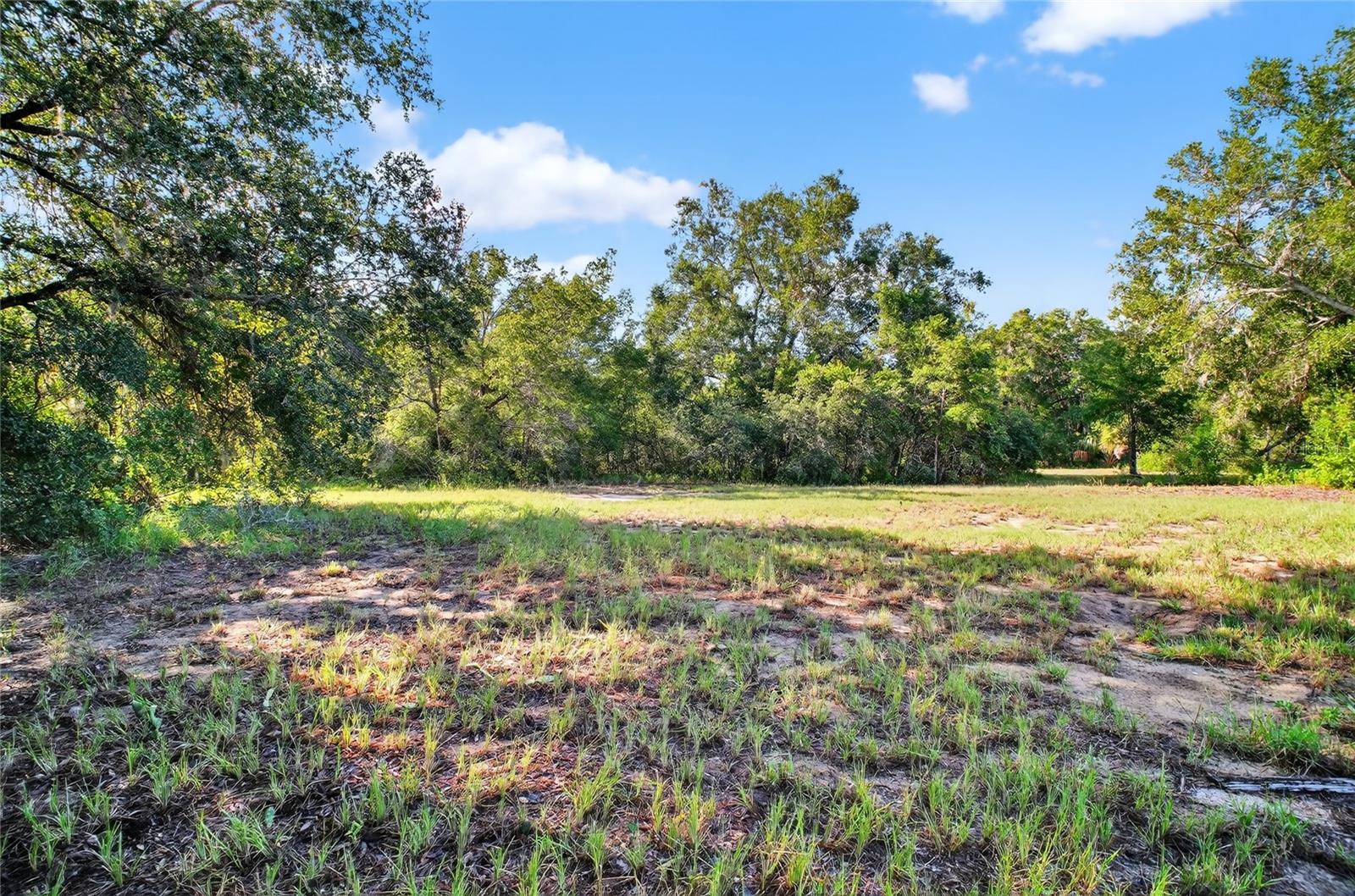 Image 8 of 16 For 42012 State Road 19