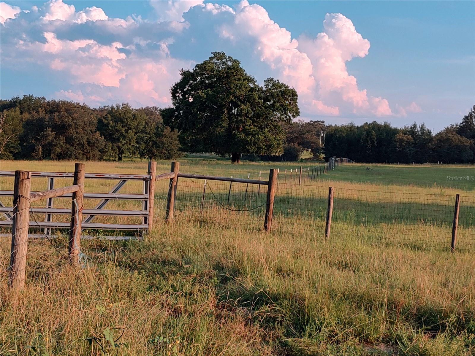 Image 66 of 84 For 35126 William Lane