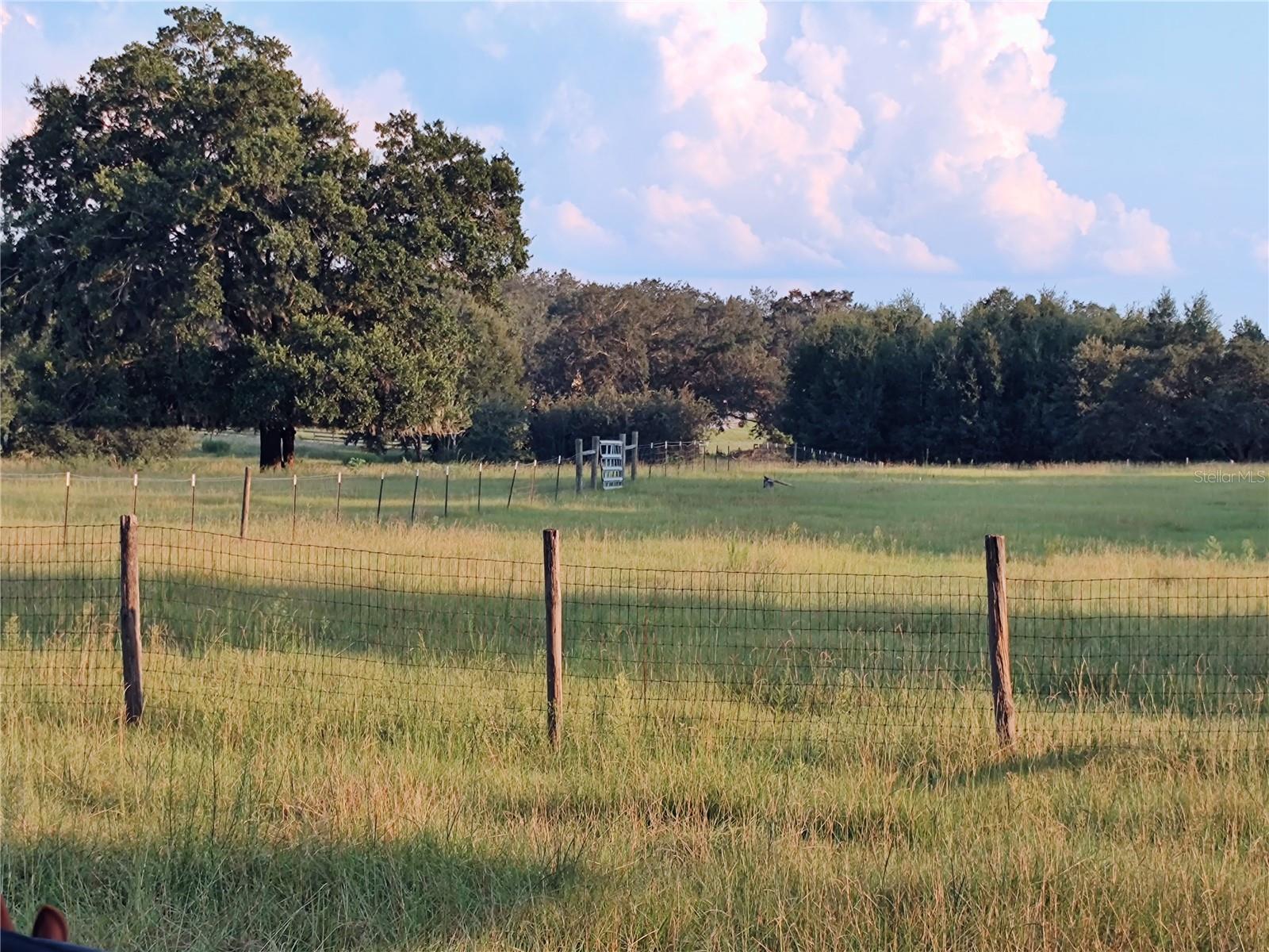 Image 67 of 84 For 35126 William Lane