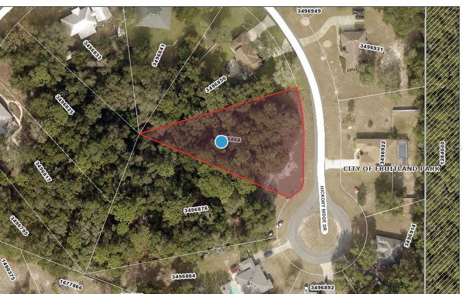 Details for 0 Hickory Ridge Drive, FRUITLAND PARK, FL 34731