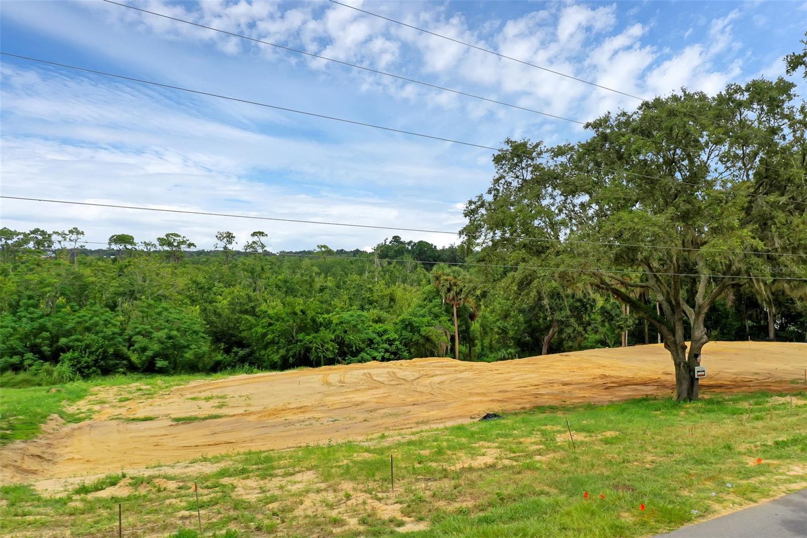 Image 10 of 43 For Ridgewood Avenue