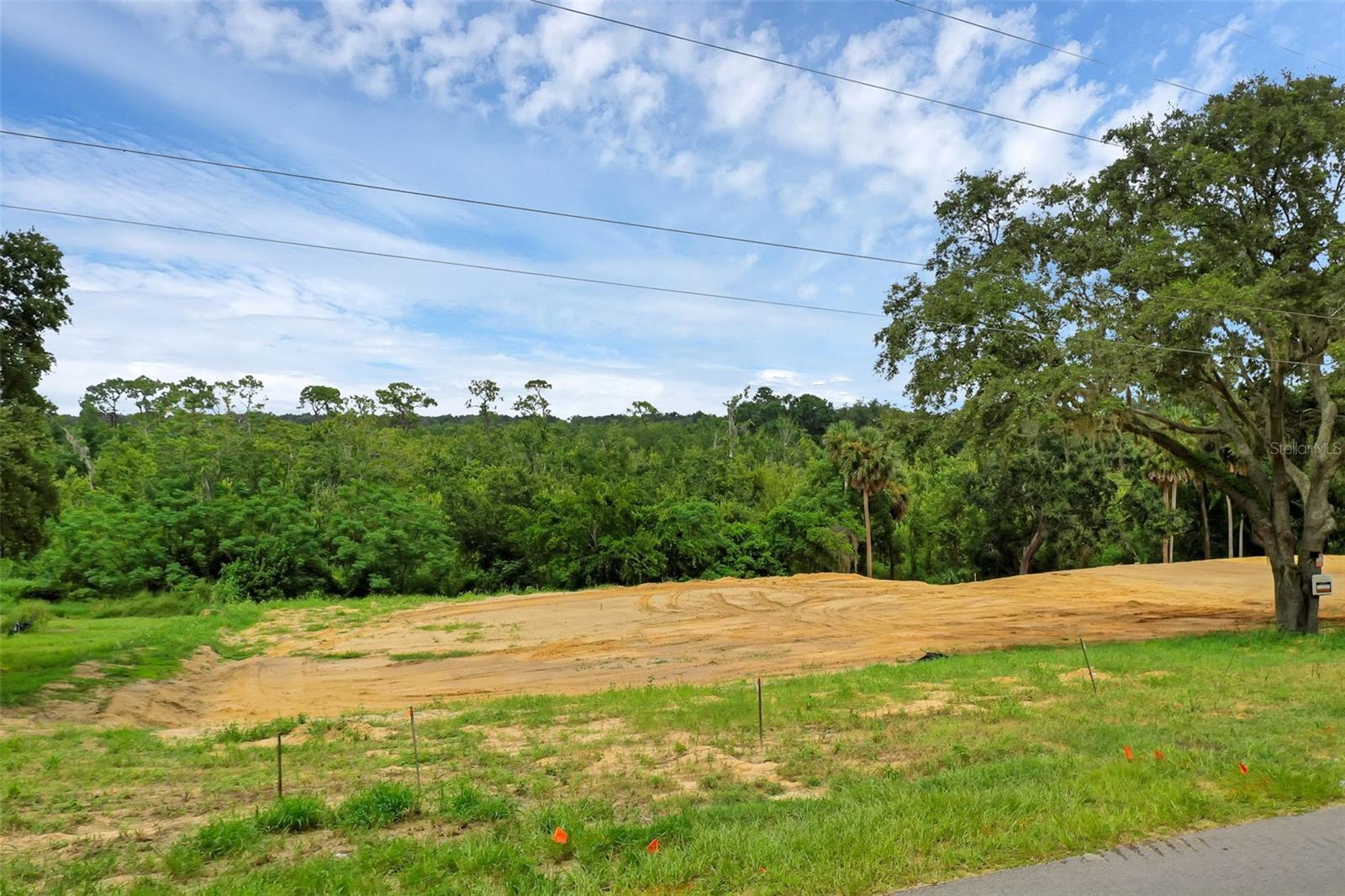 Image 9 of 43 For Ridgewood Avenue