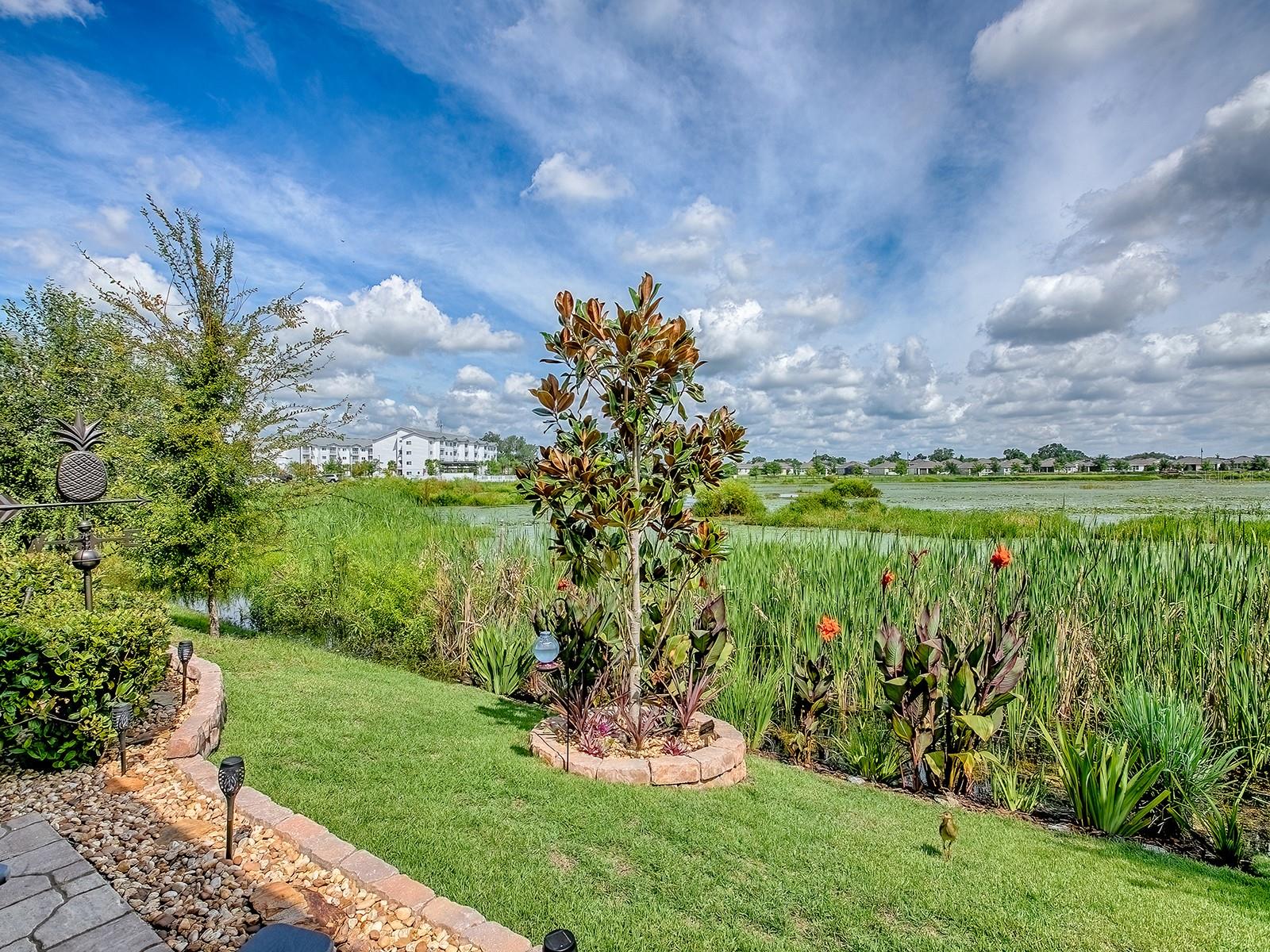 Image 24 of 55 For 5230 Dragonfly Drive