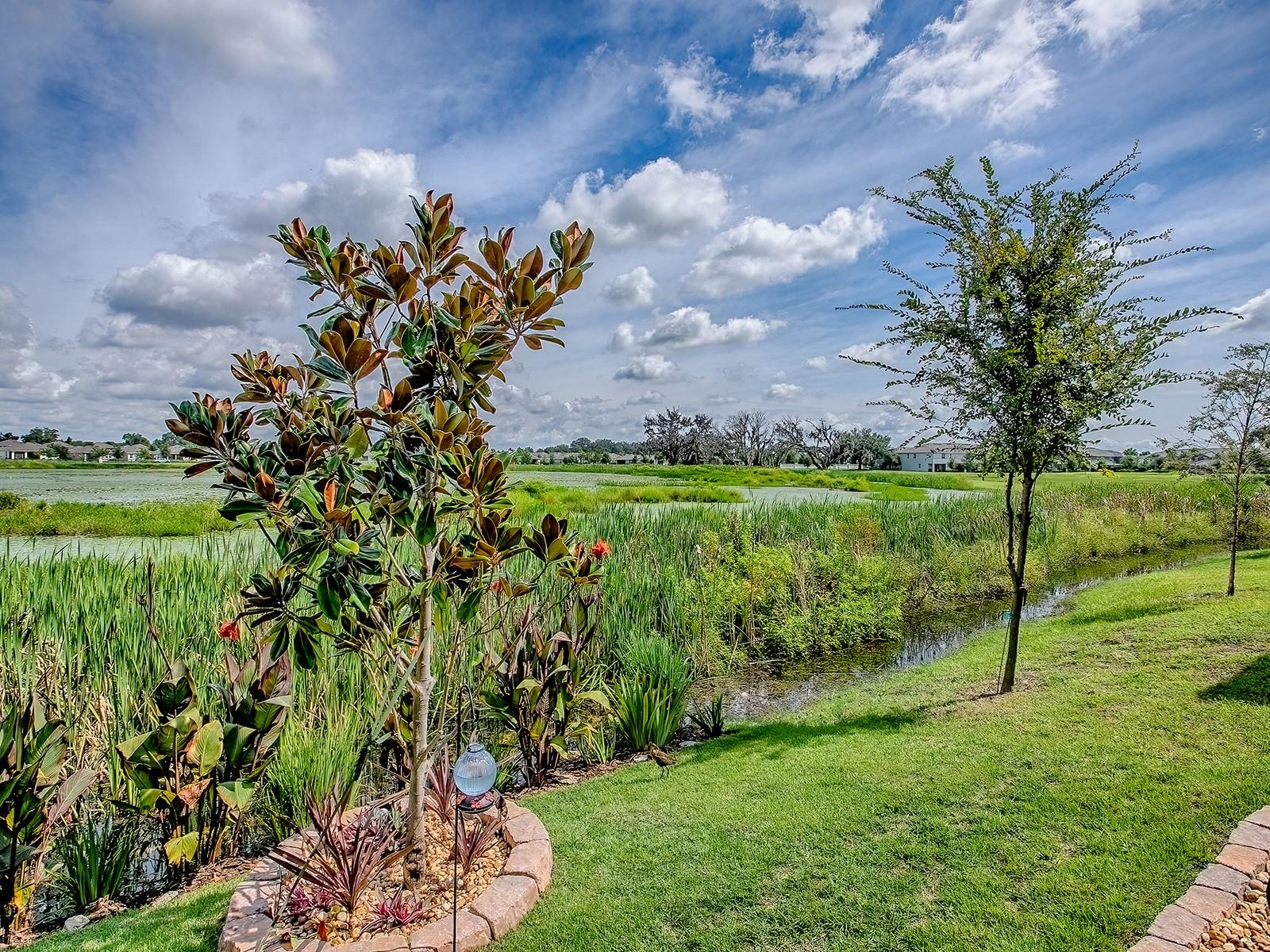 Image 25 of 55 For 5230 Dragonfly Drive