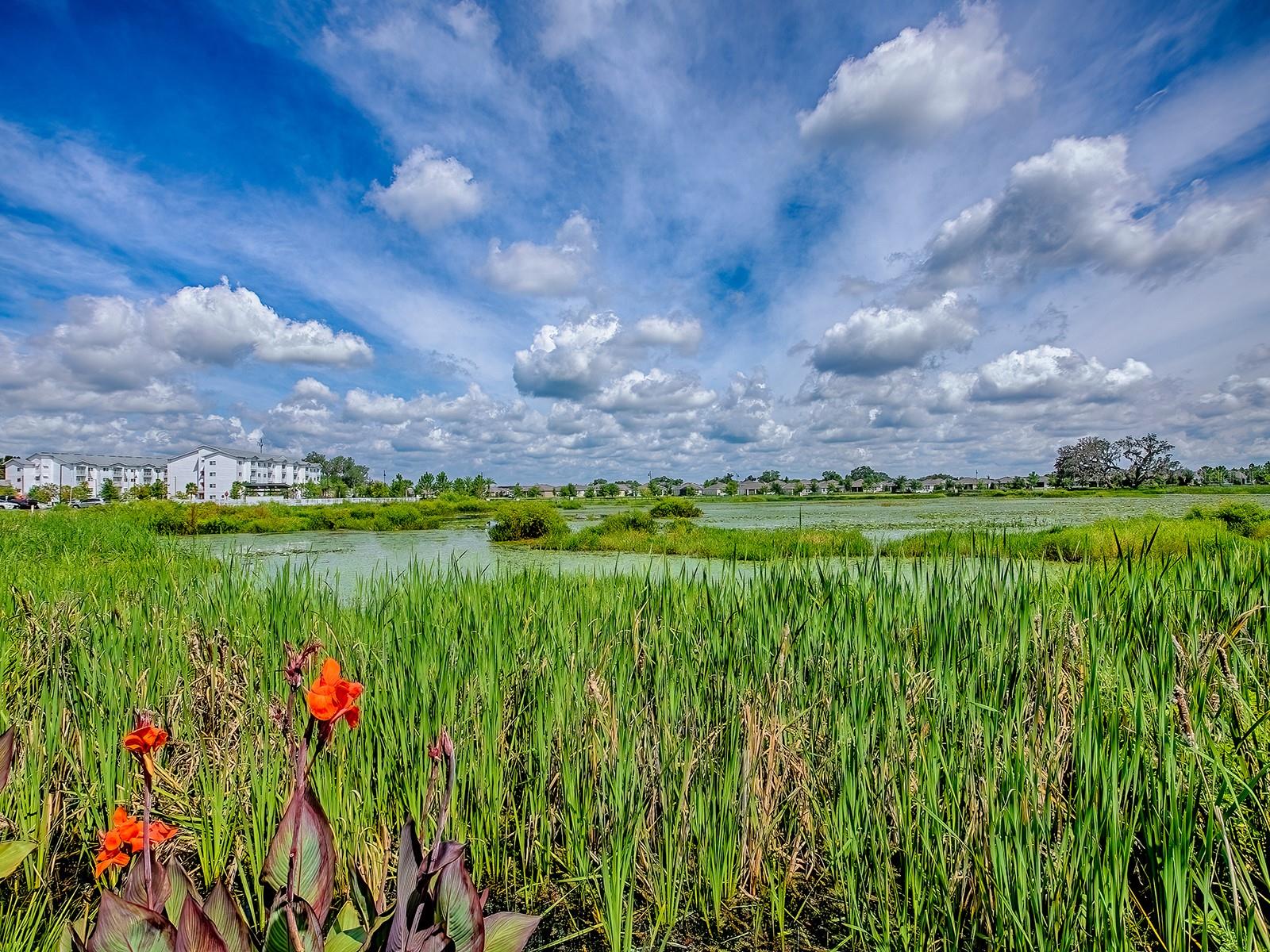 Image 3 of 55 For 5230 Dragonfly Drive