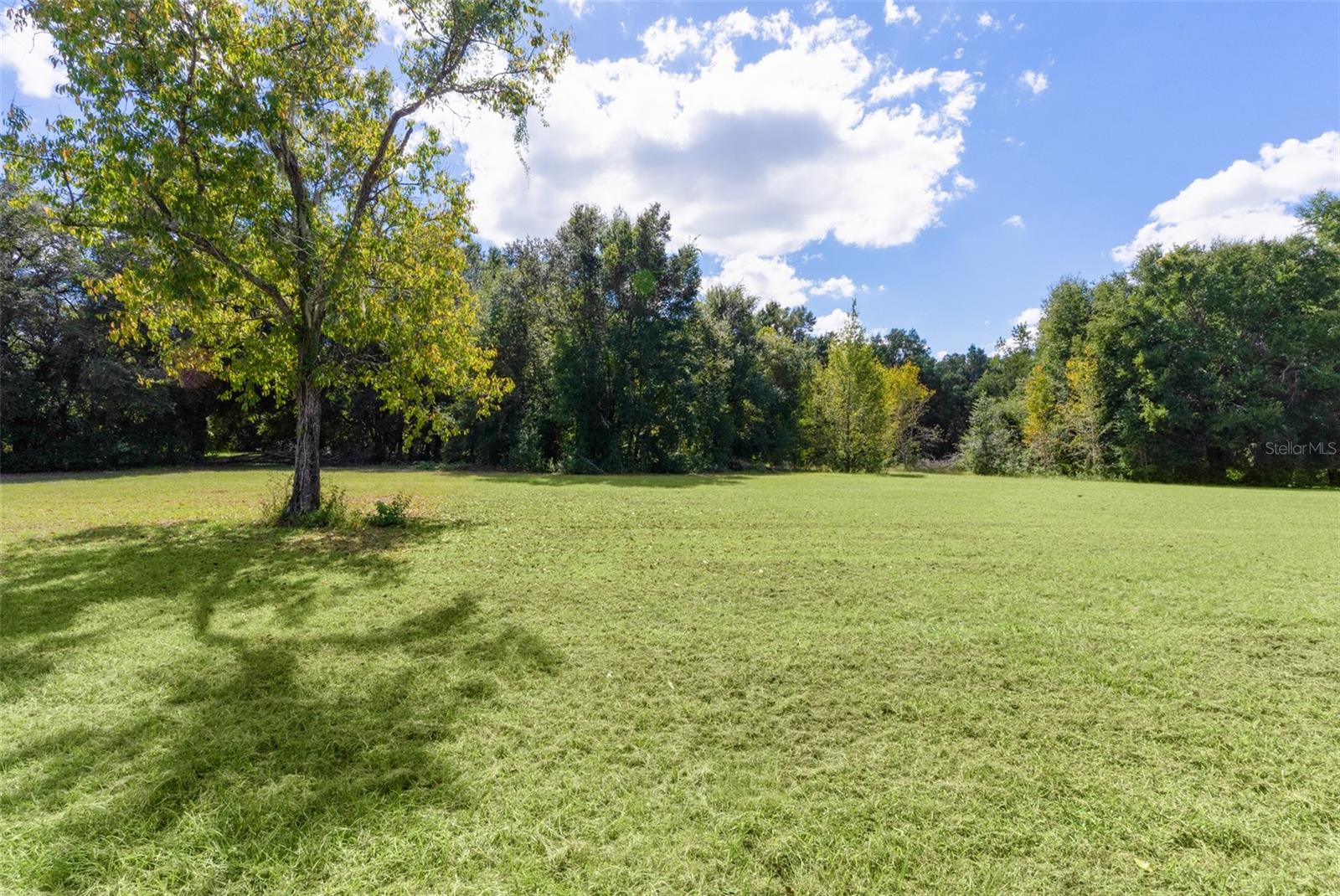 Image 42 of 60 For 164 Palermo Place