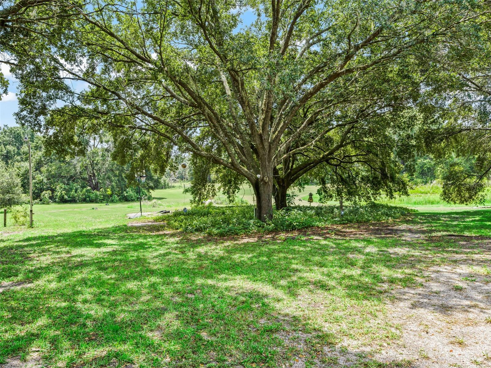 Image 48 of 54 For 17090 173rd Terrace Road