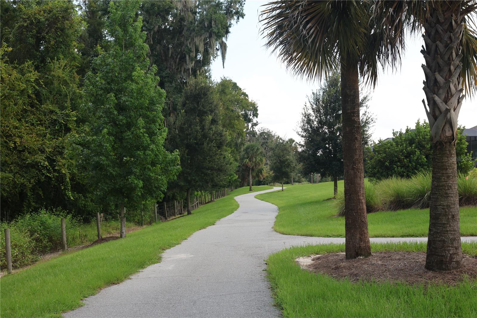 Image 39 of 40 For 904 Maynard Path Path