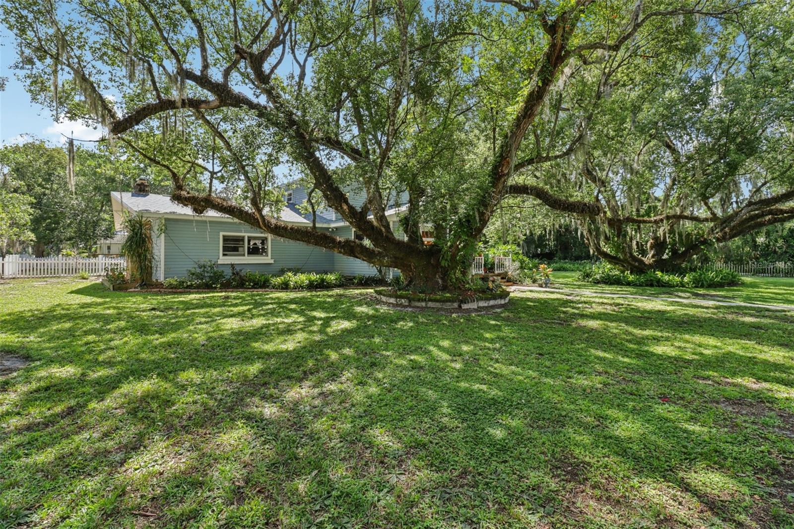 Image 6 of 53 For 1048 Grandview Street