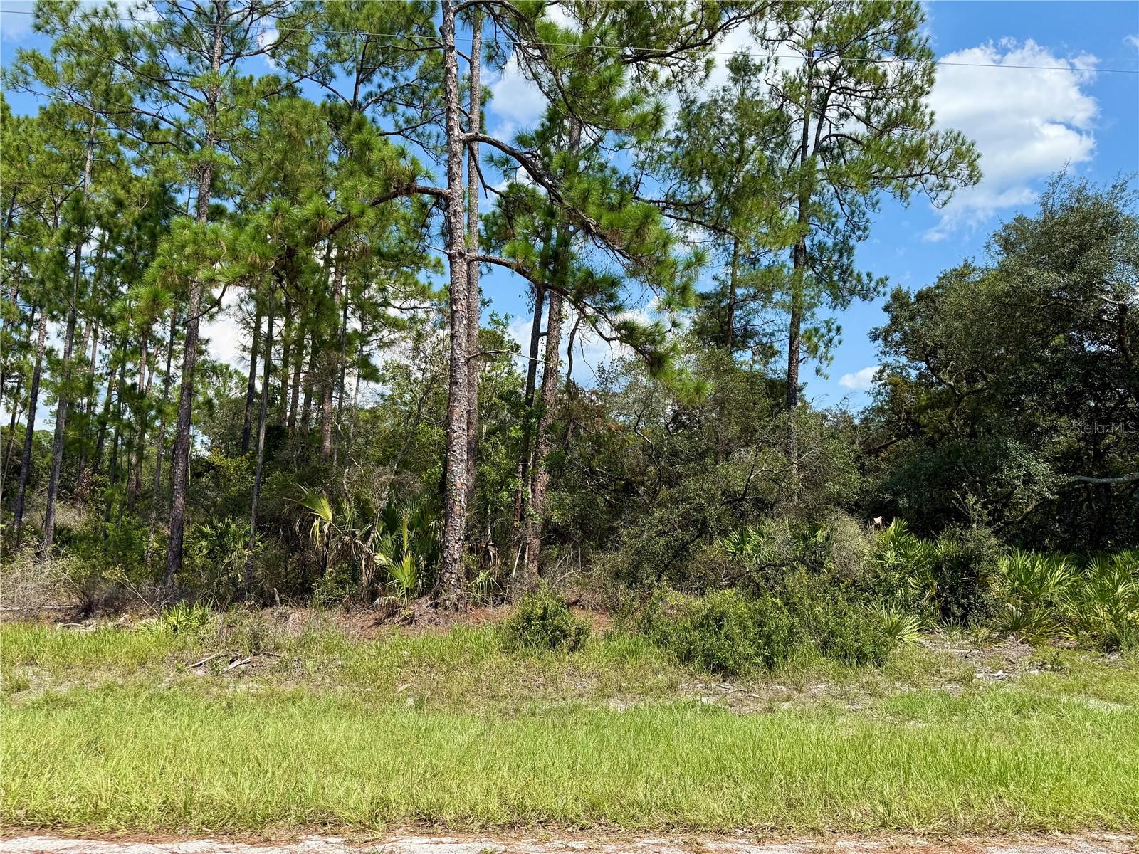 Details for Lot 20 Balsam Street, EUSTIS, FL 32736