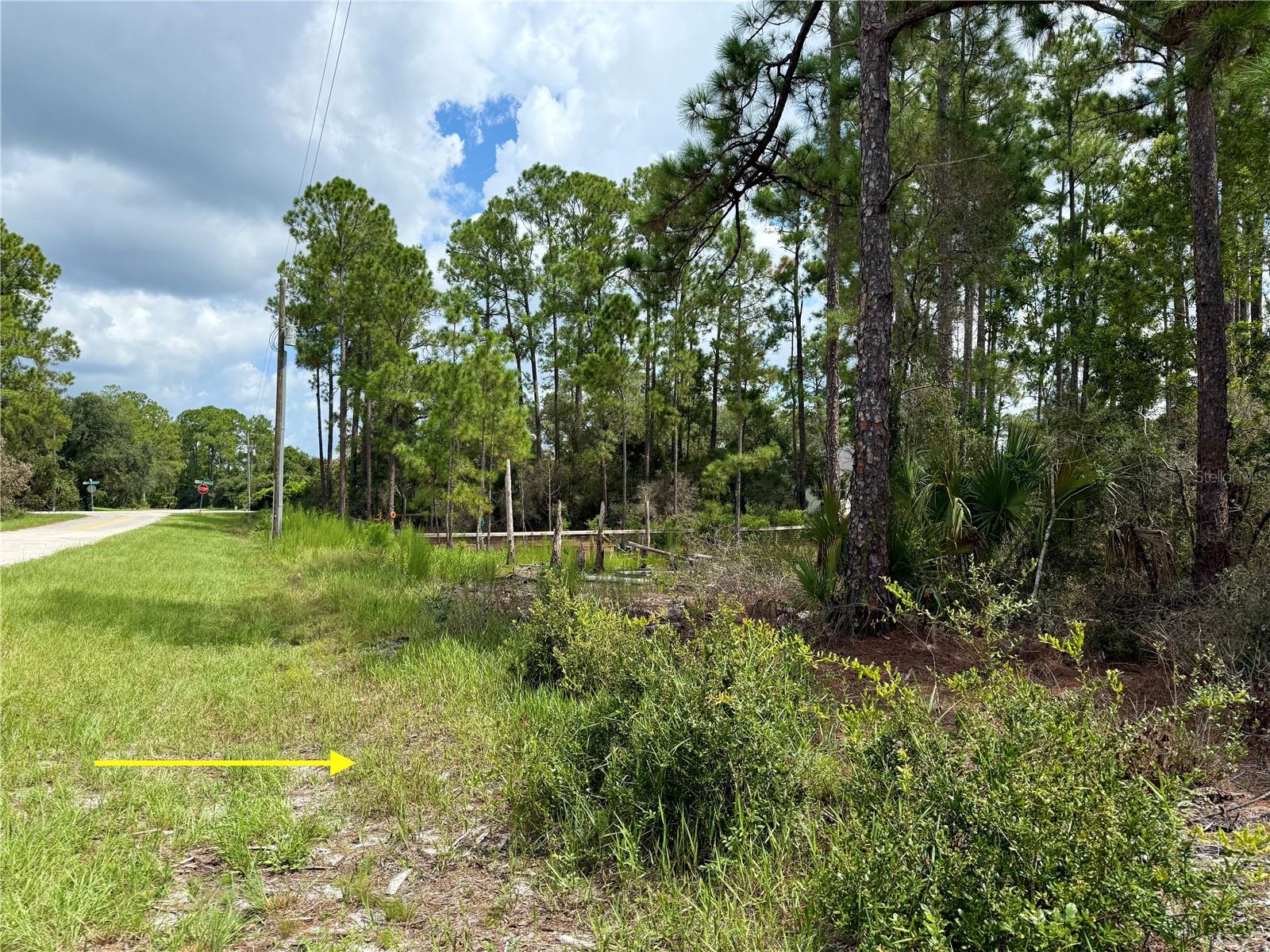 Image 10 of 24 For Lot 20 Balsam Street