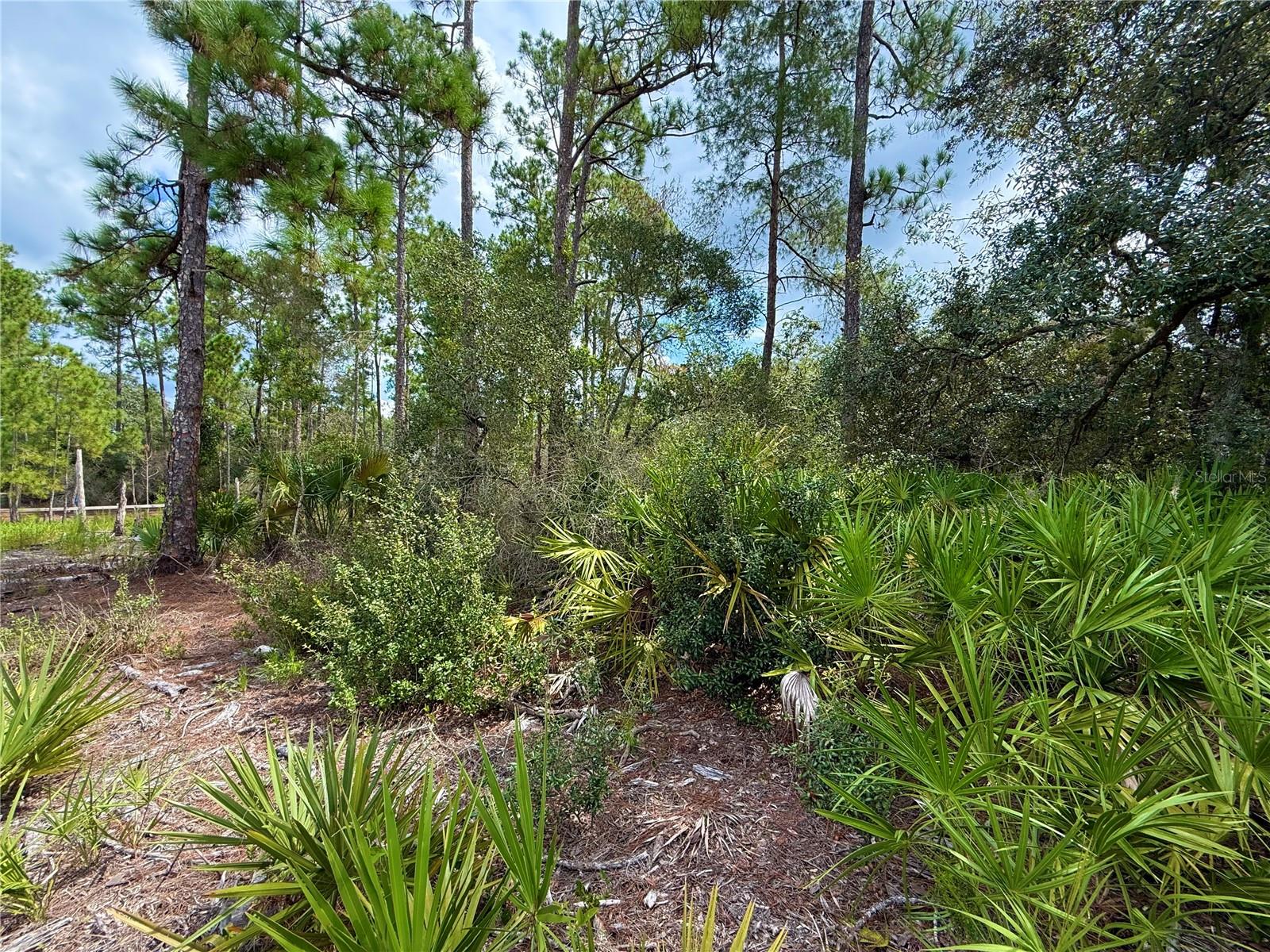 Image 13 of 24 For Lot 20 Balsam Street