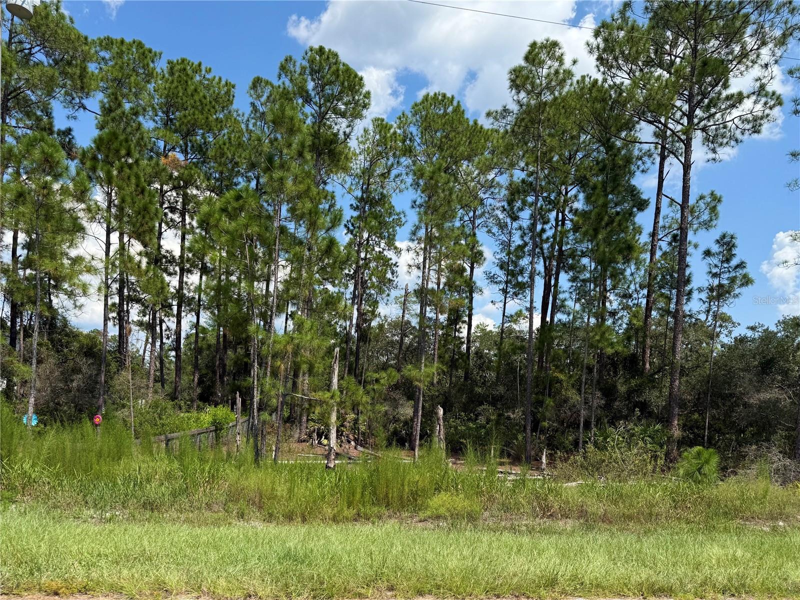 Image 2 of 24 For Lot 20 Balsam Street