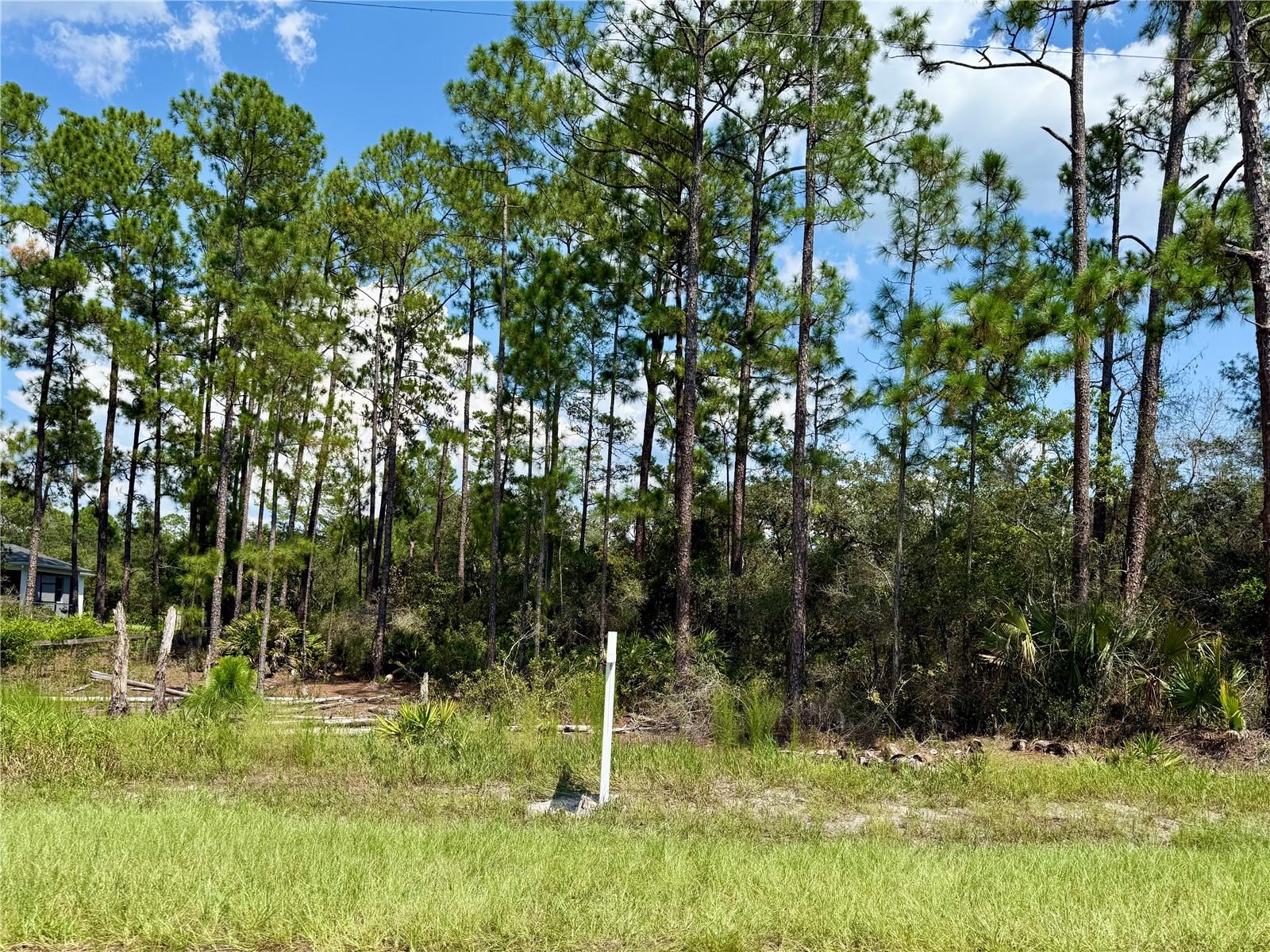Image 3 of 24 For Lot 20 Balsam Street