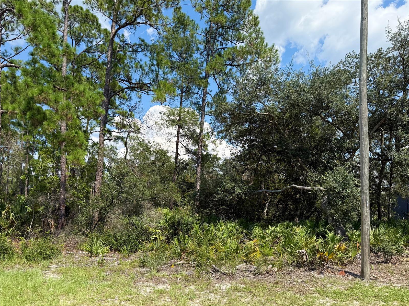 Image 4 of 24 For Lot 20 Balsam Street
