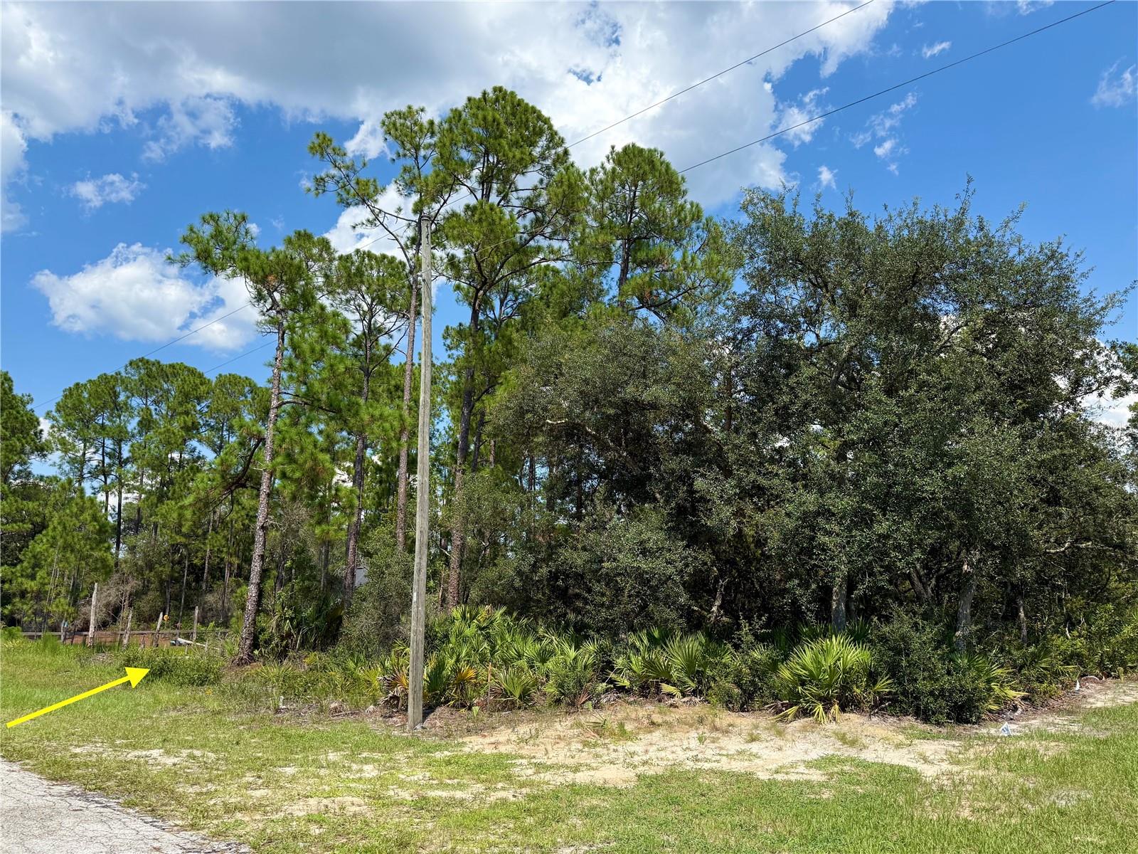 Image 5 of 24 For Lot 20 Balsam Street
