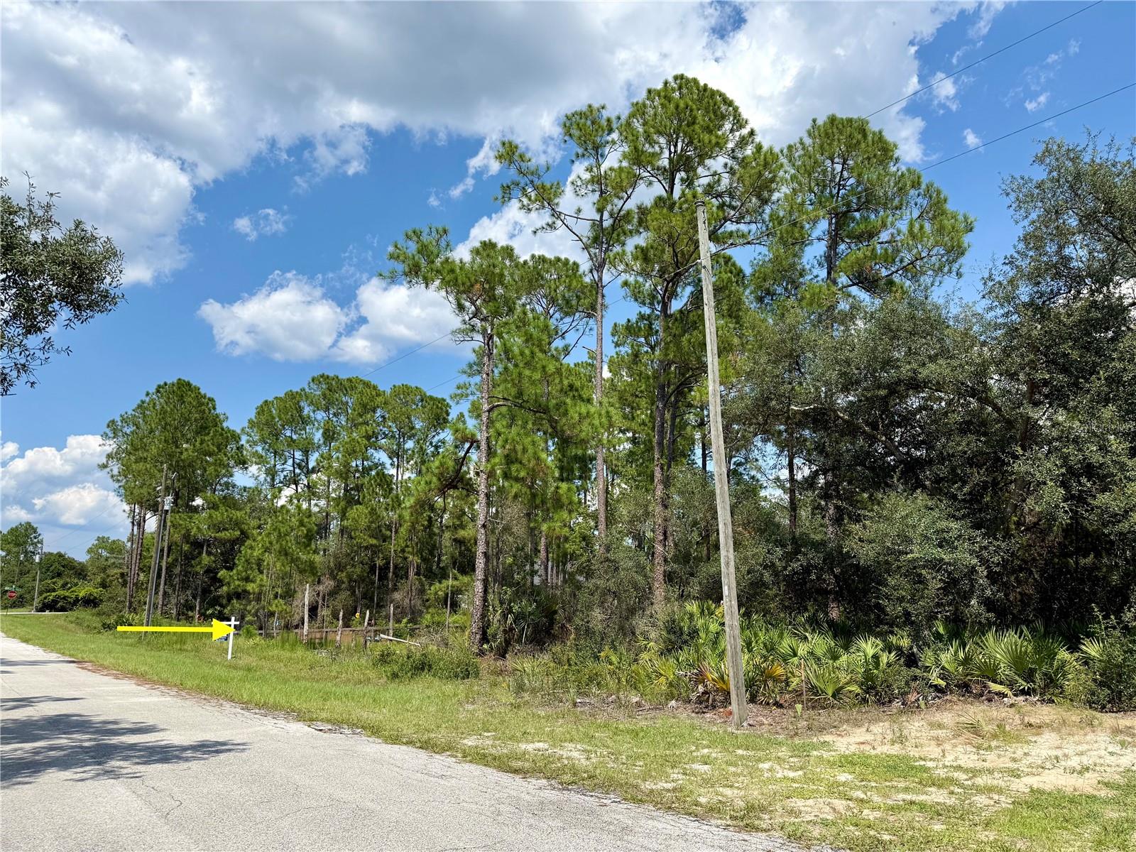 Image 6 of 24 For Lot 20 Balsam Street