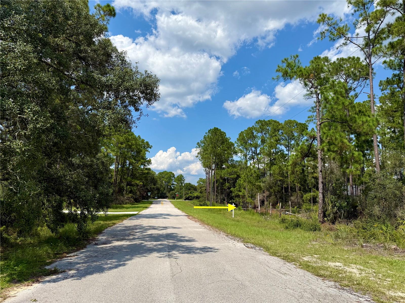Image 7 of 24 For Lot 20 Balsam Street