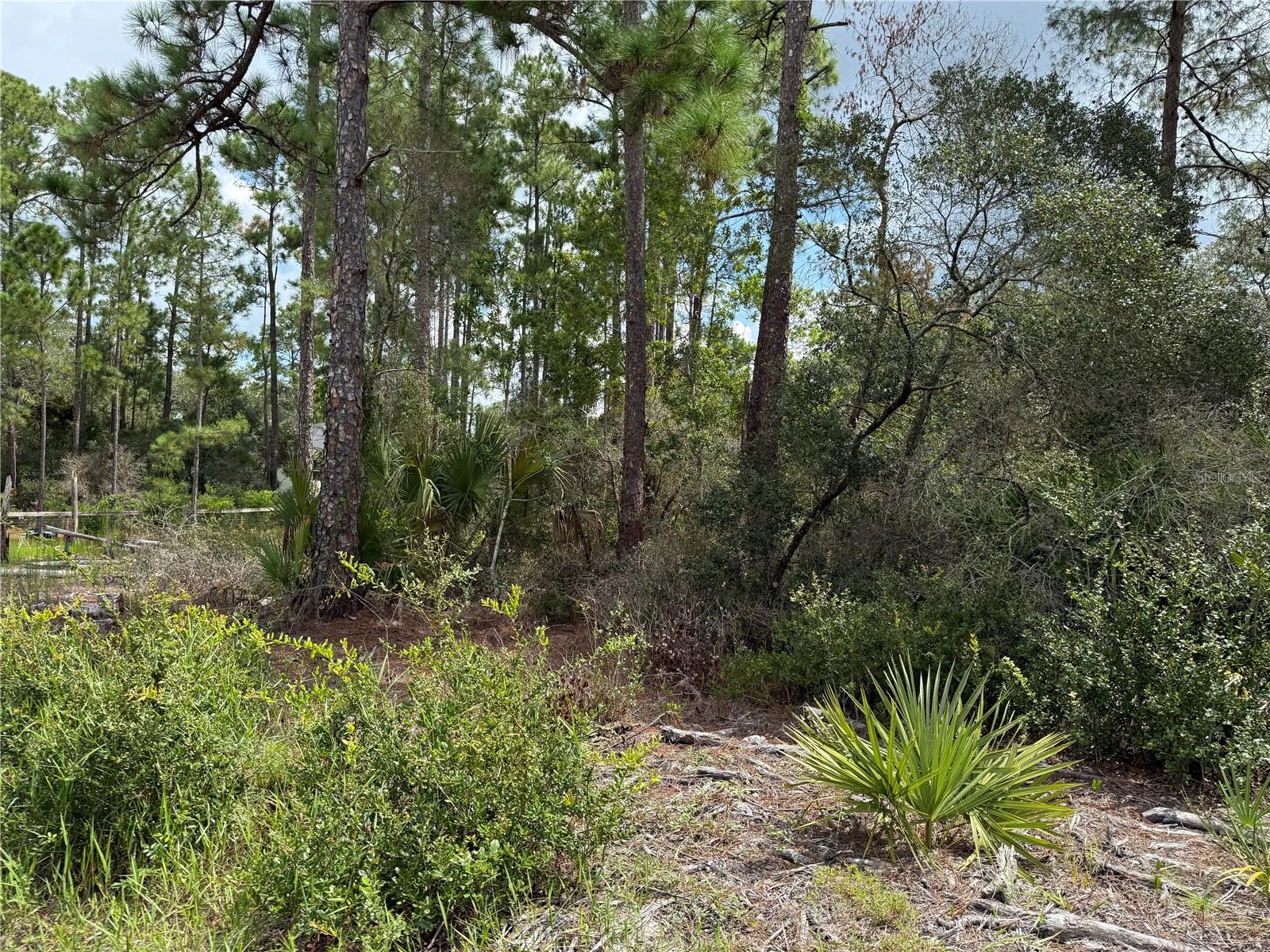 Image 9 of 24 For Lot 20 Balsam Street