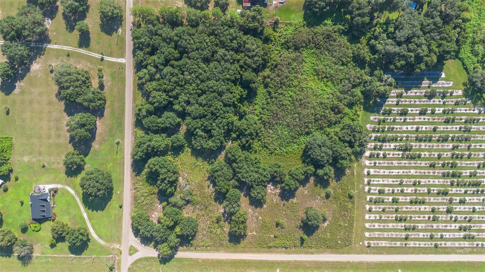 Image 20 of 27 For Yale Hammock Road