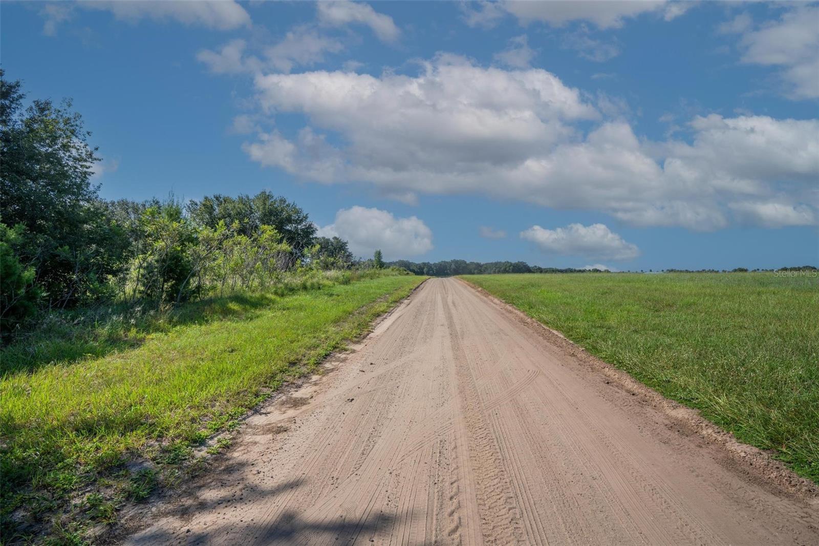 Image 26 of 27 For Yale Hammock Road
