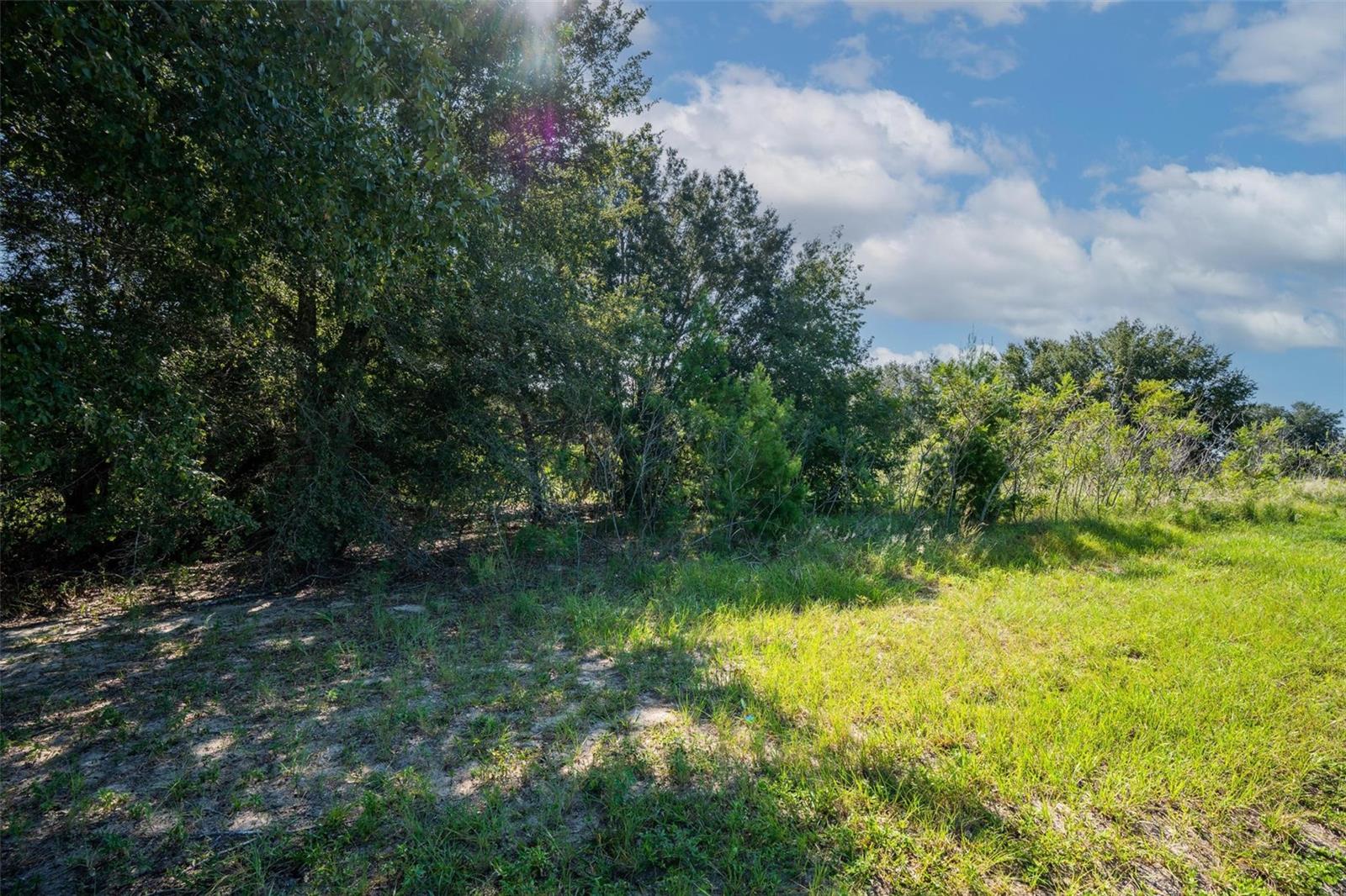 Image 27 of 27 For Yale Hammock Road
