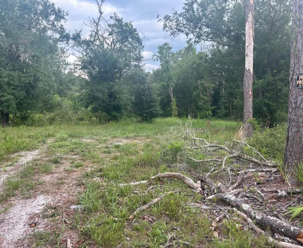 Details for 00 158th Lane, DUNNELLON, FL 34432