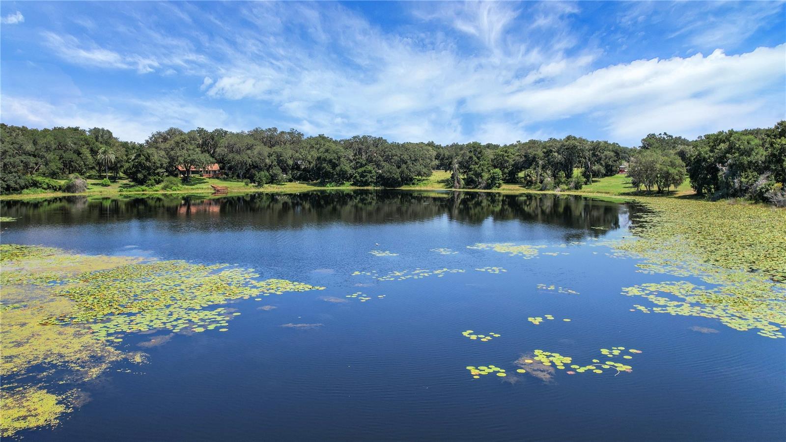 Image 17 of 60 For 2334 Lake Griffin Road