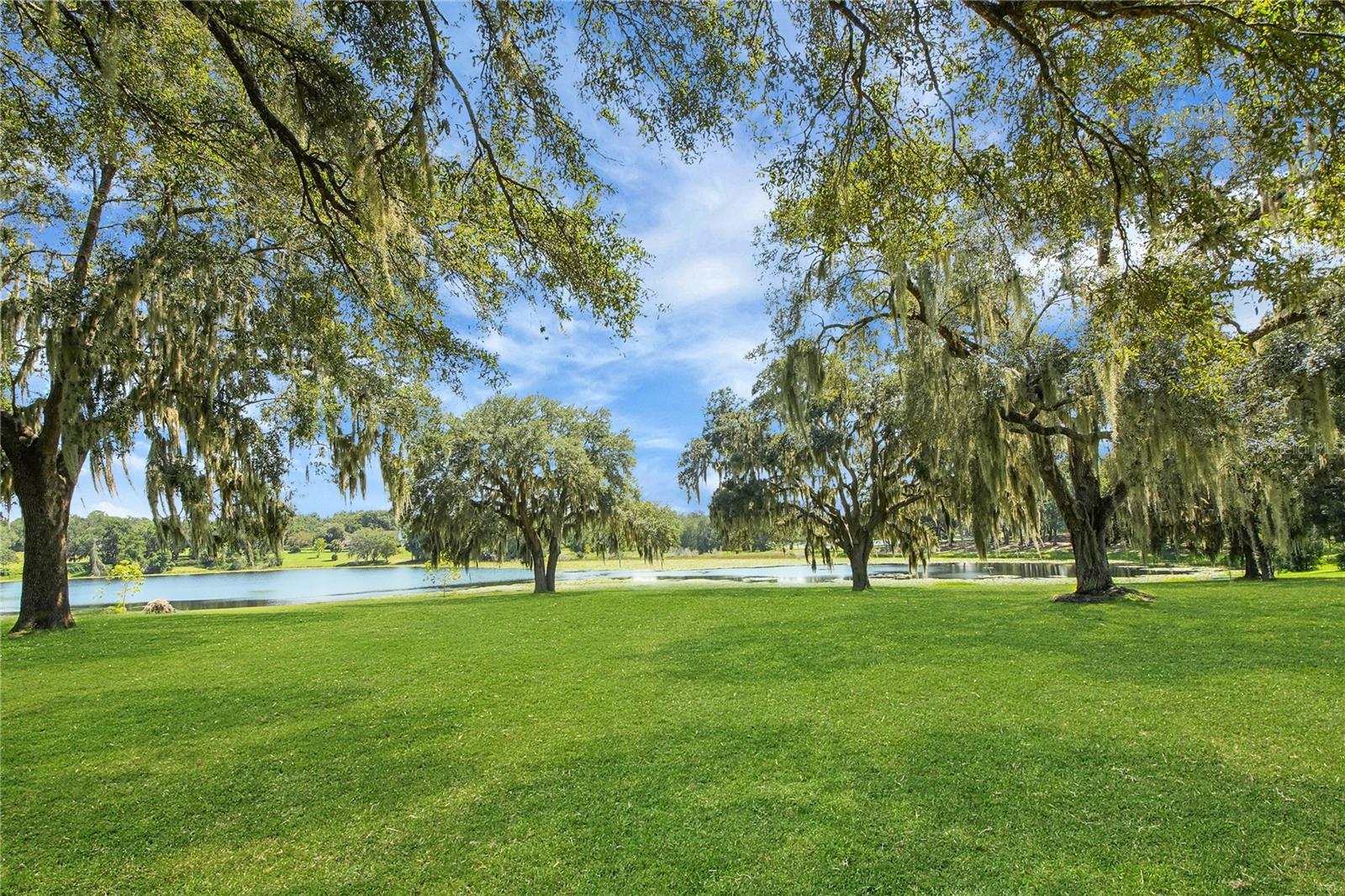 Image 4 of 60 For 2334 Lake Griffin Road
