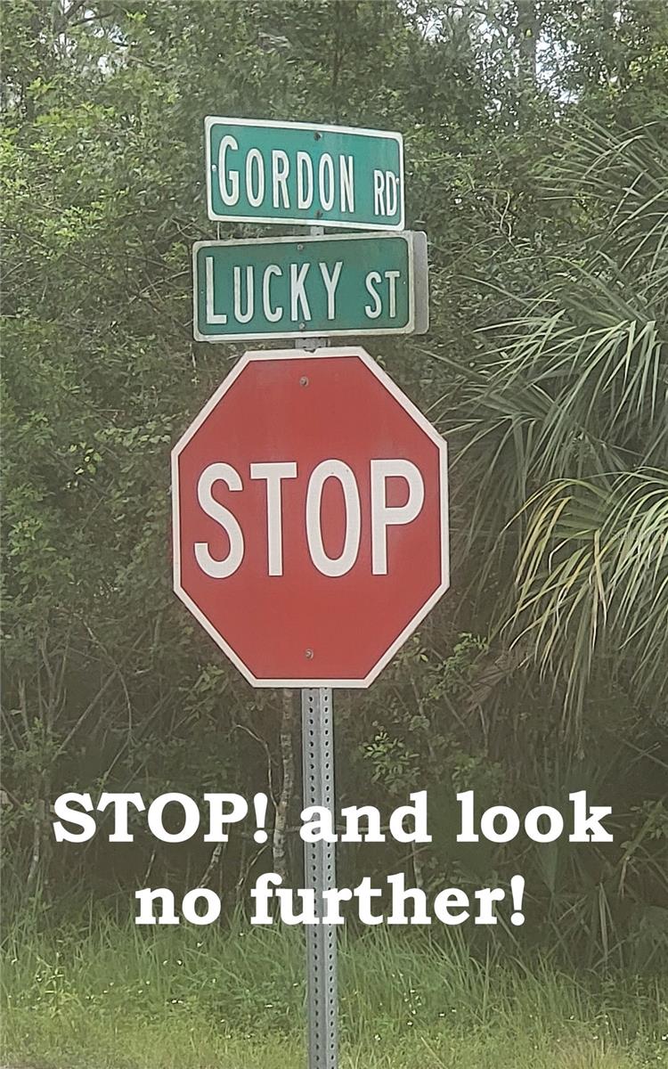 Image 49 of 49 For 202 Gordon Road Nw