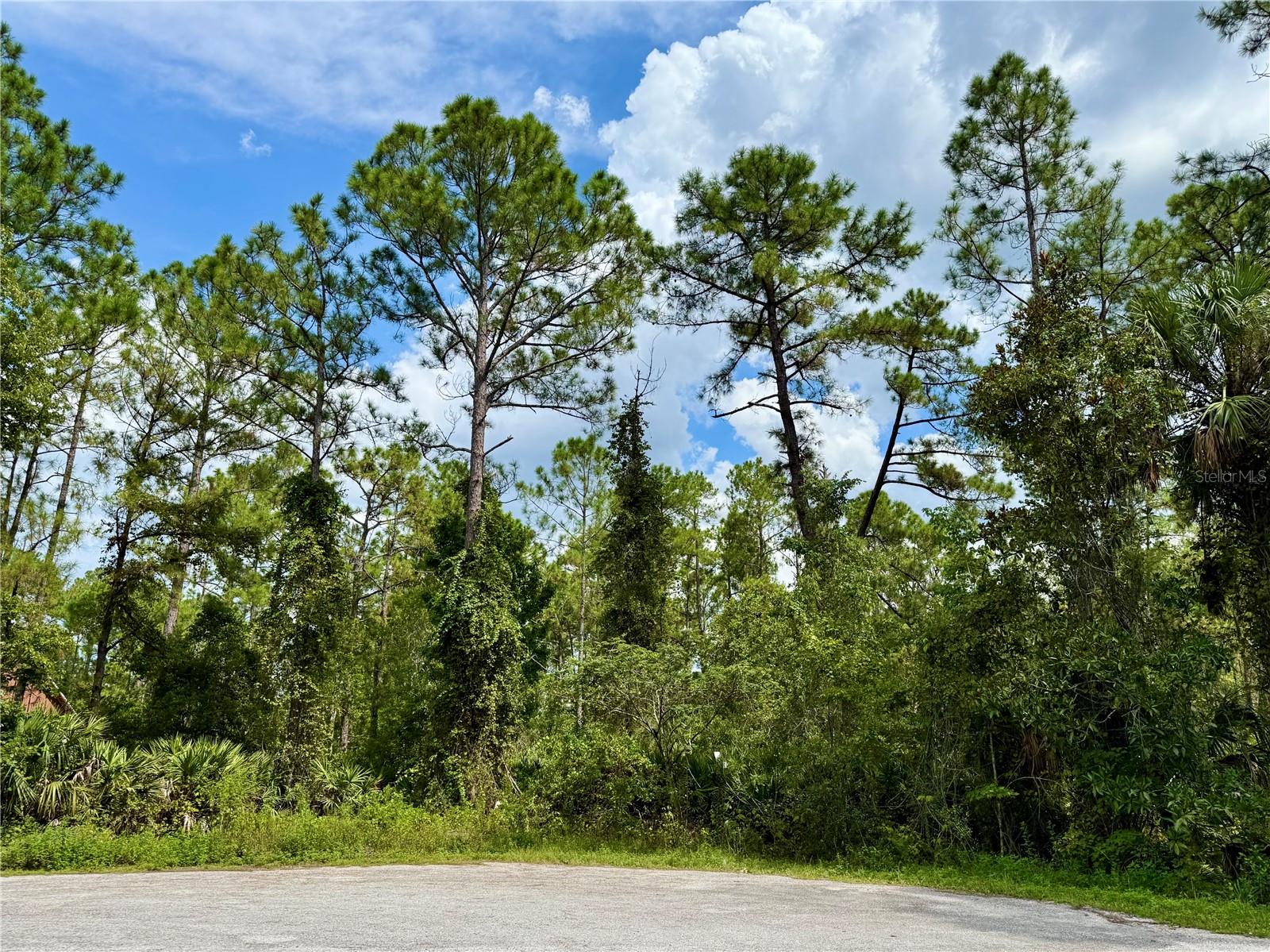 Details for Lot 3 Tamarac Street, EUSTIS, FL 32736
