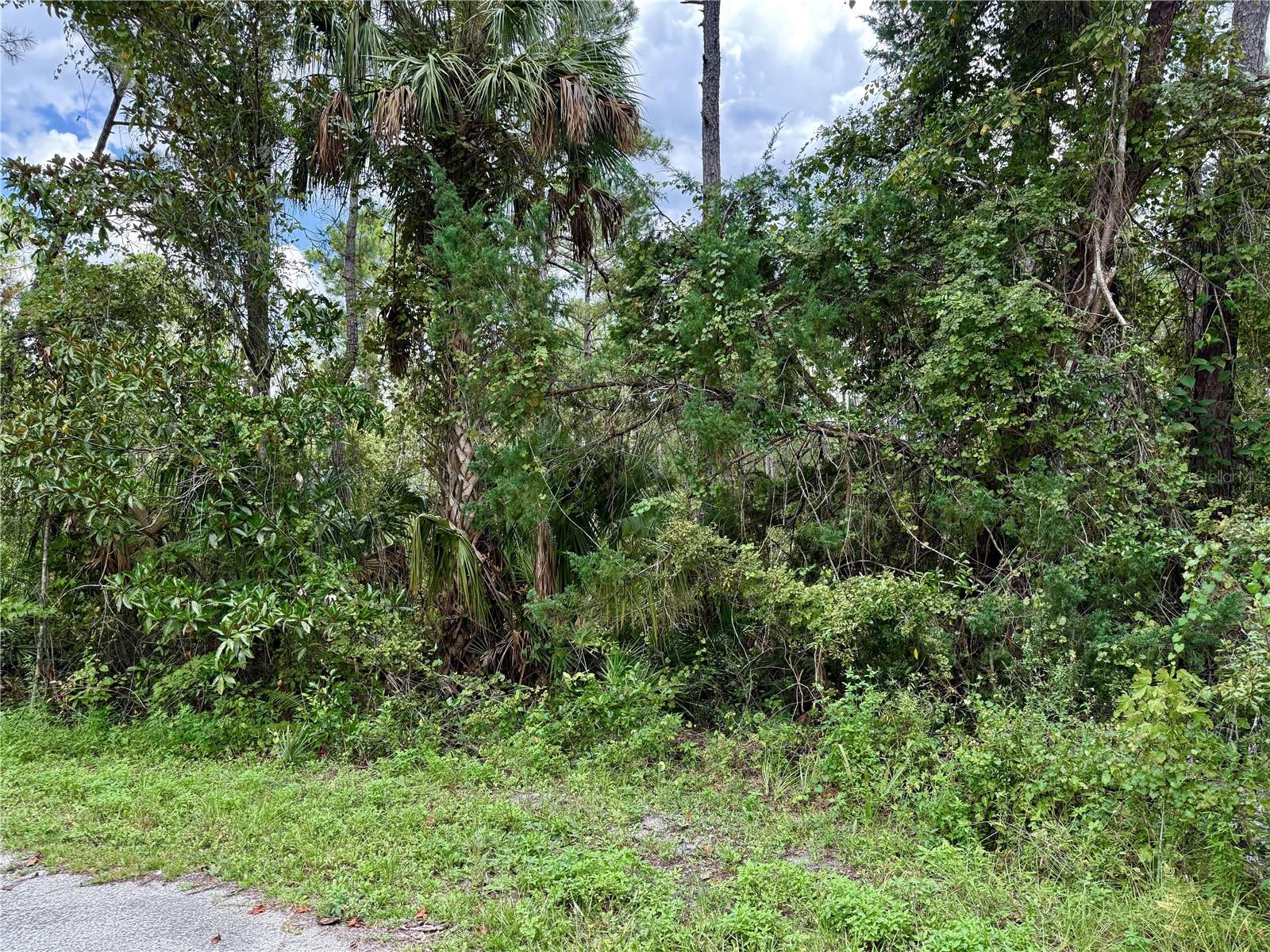 Image 11 of 29 For Lot 3 Tamarac Street