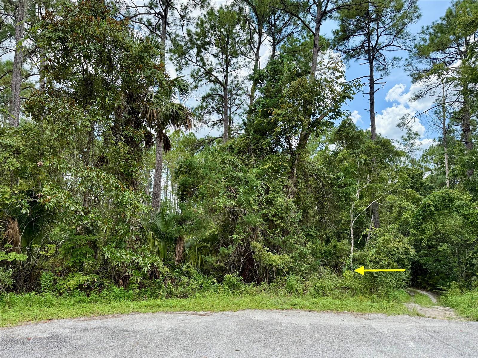 Image 17 of 29 For Lot 3 Tamarac Street