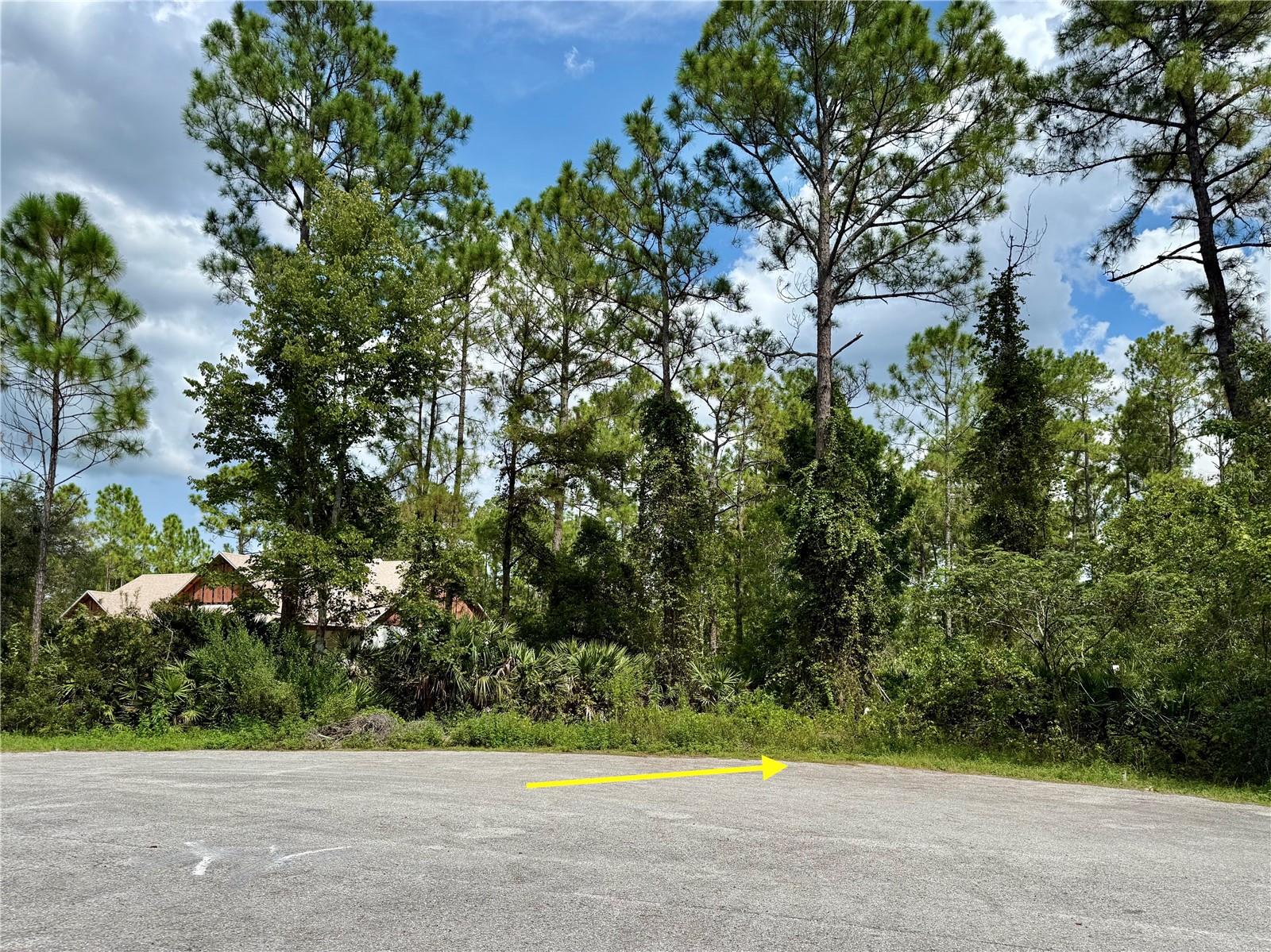 Image 2 of 29 For Lot 3 Tamarac Street