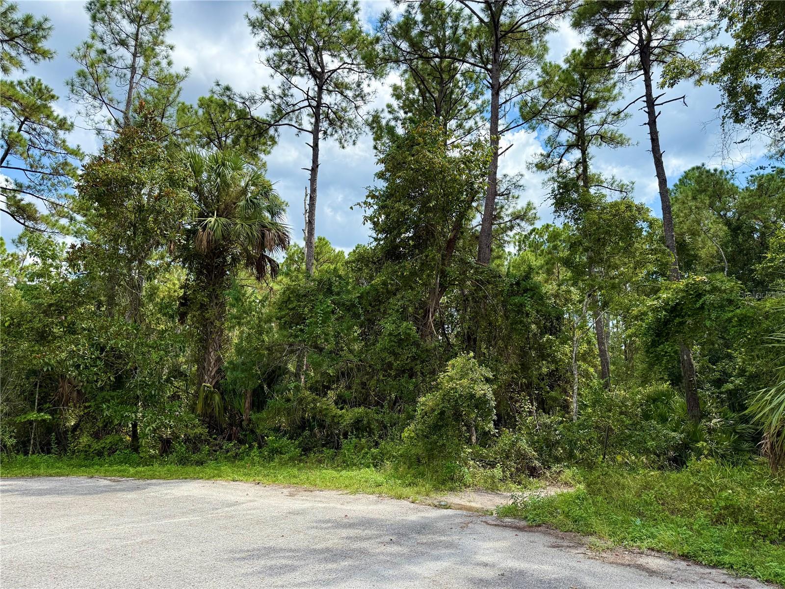 Image 3 of 29 For Lot 3 Tamarac Street