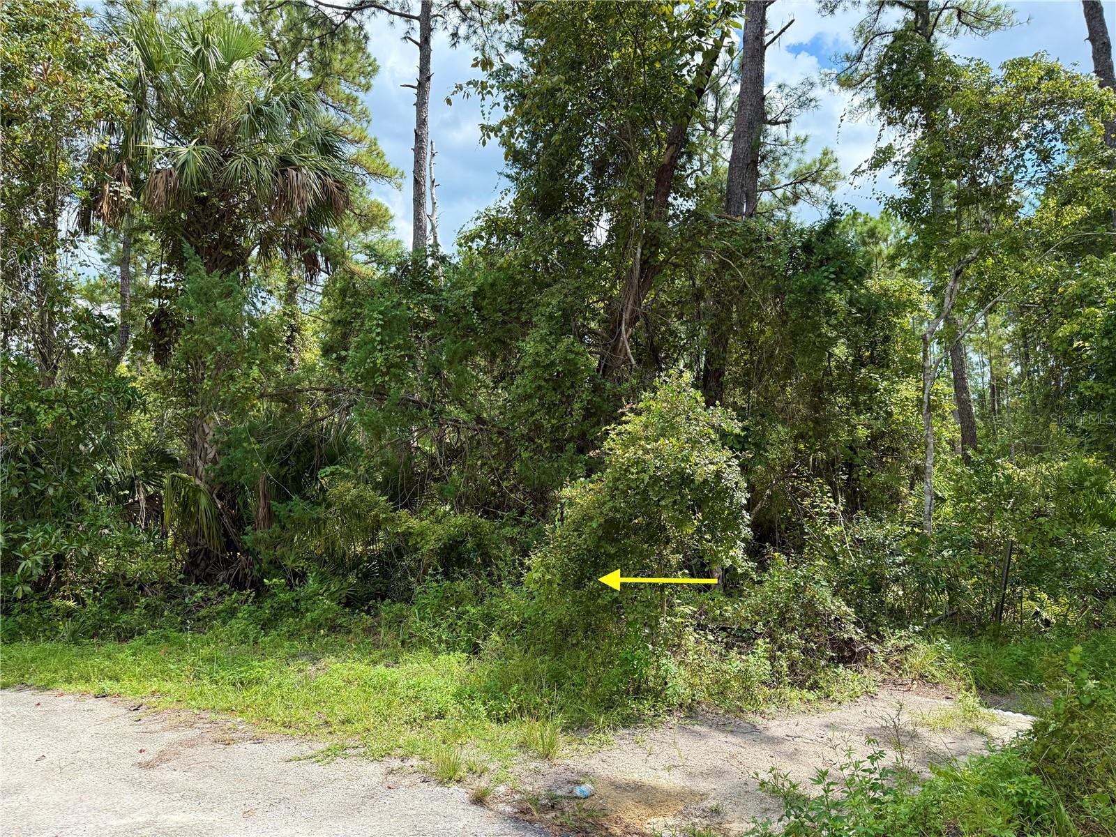 Image 5 of 29 For Lot 3 Tamarac Street