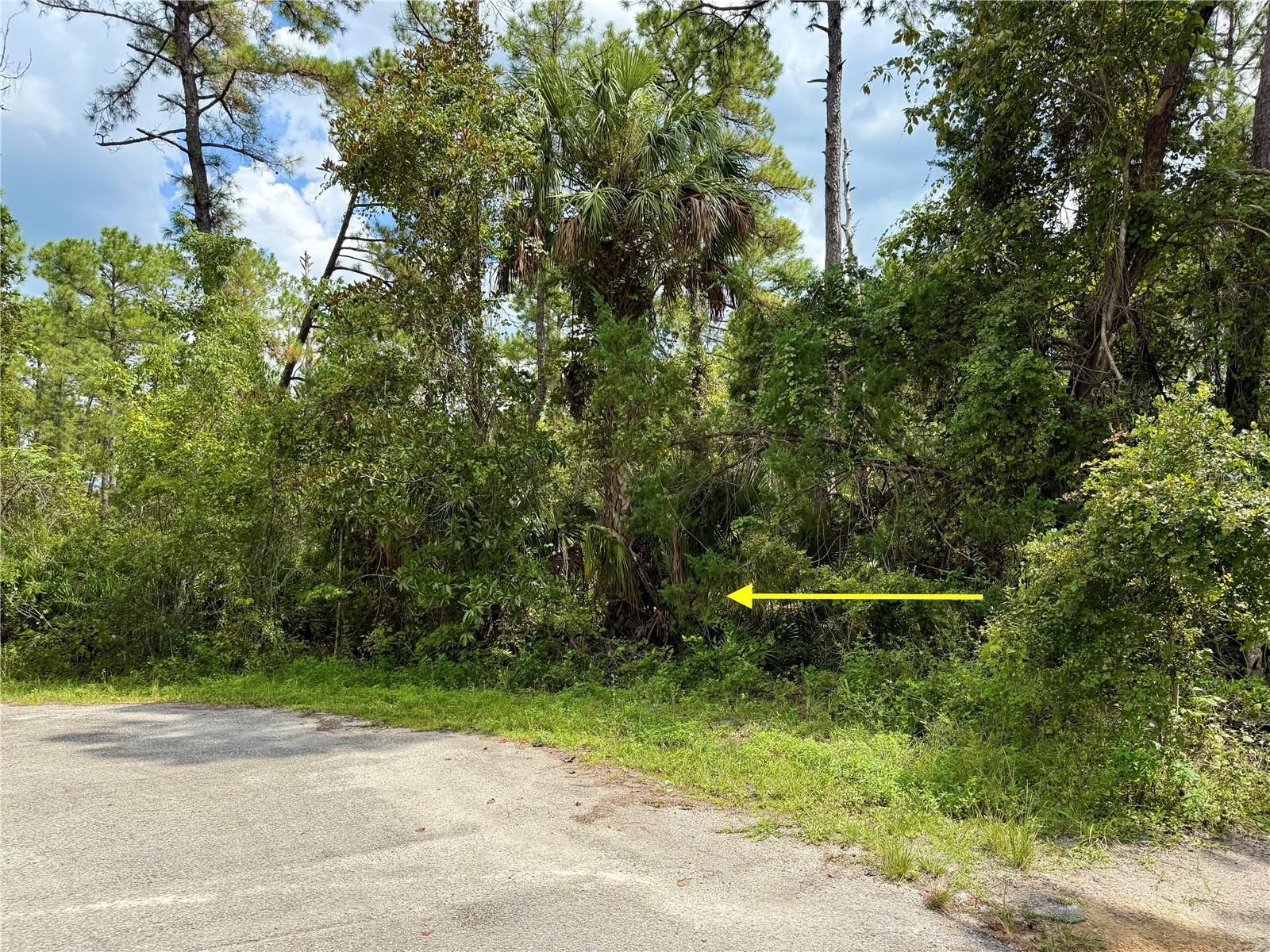 Image 6 of 29 For Lot 3 Tamarac Street