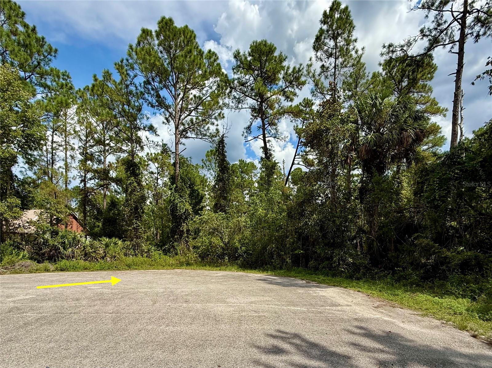 Image 7 of 29 For Lot 3 Tamarac Street