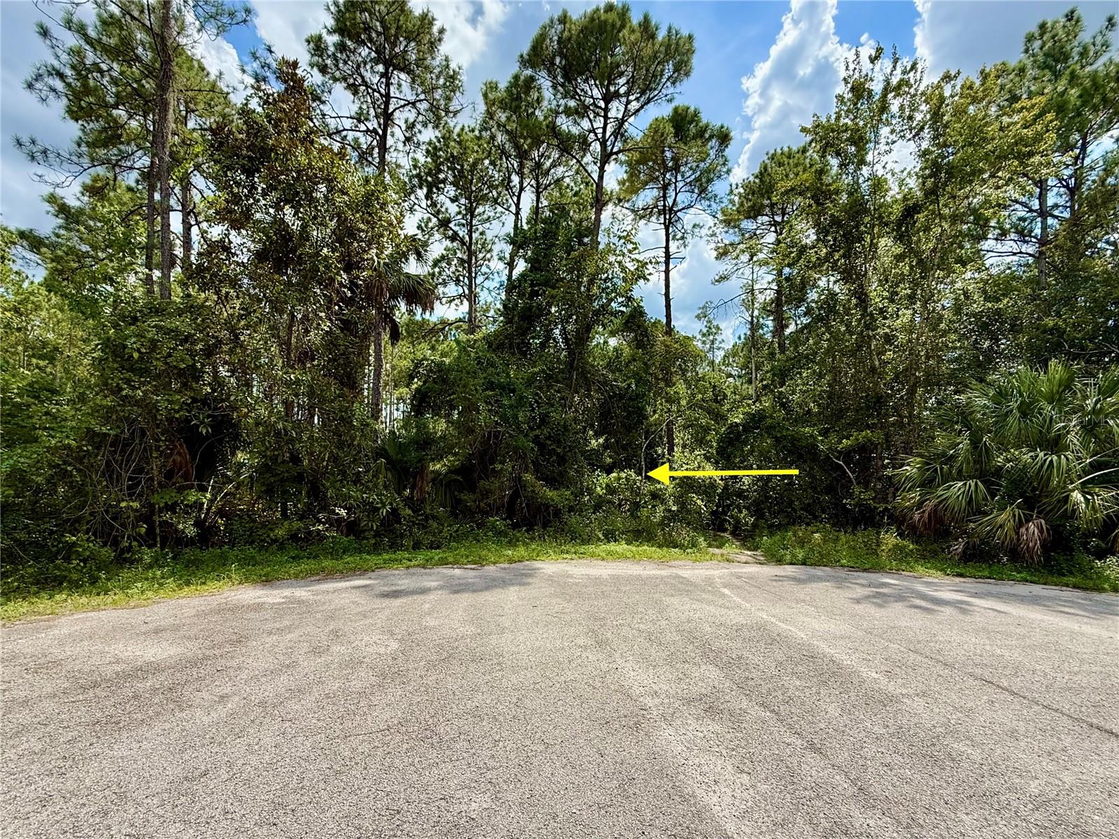 Image 9 of 29 For Lot 3 Tamarac Street