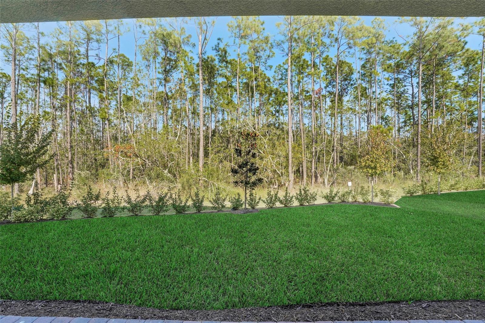 Image 54 of 55 For 14225 Crest Palm Avenue