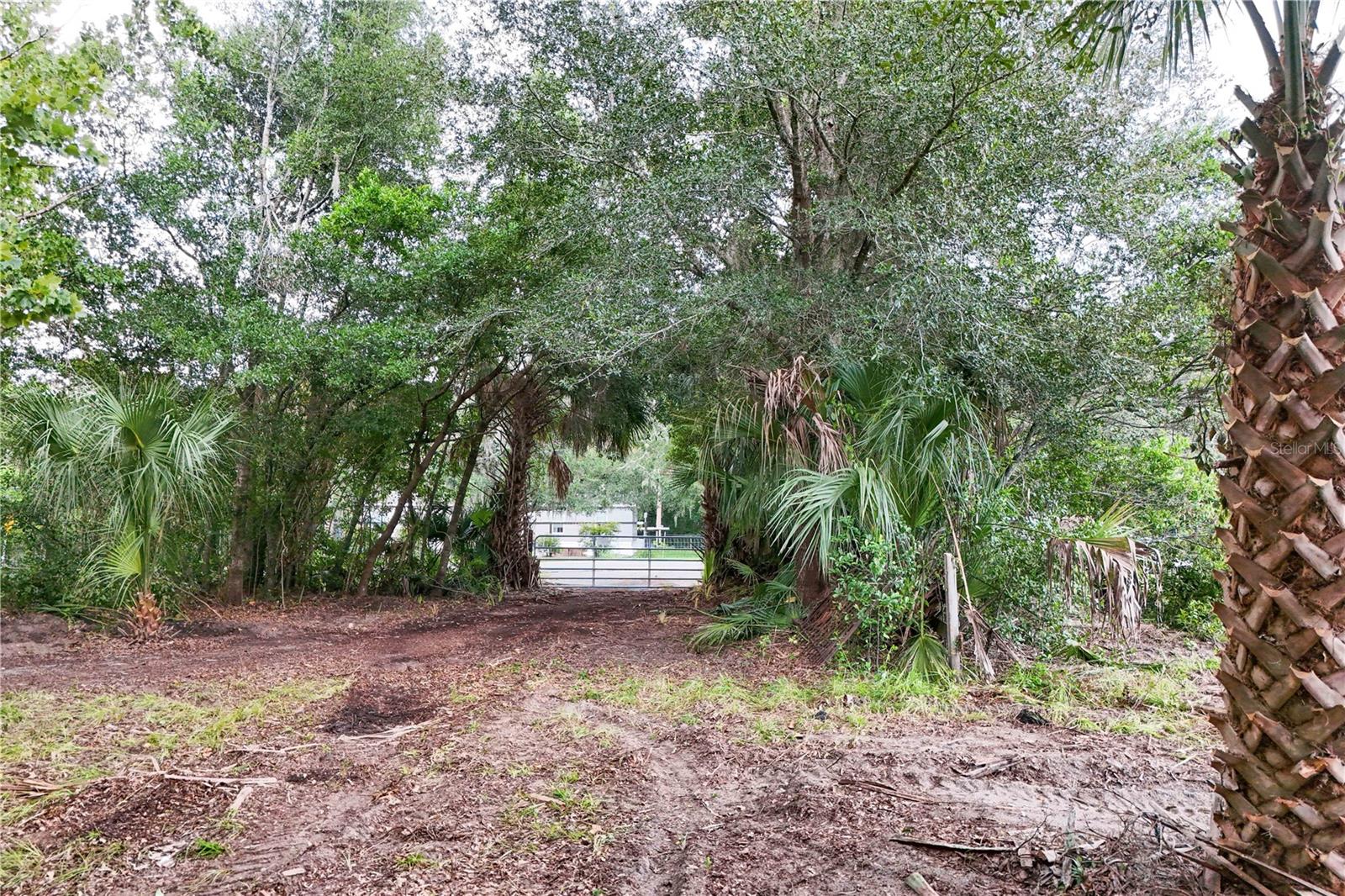 Image 4 of 18 For 6704 Mount Plymouth Road
