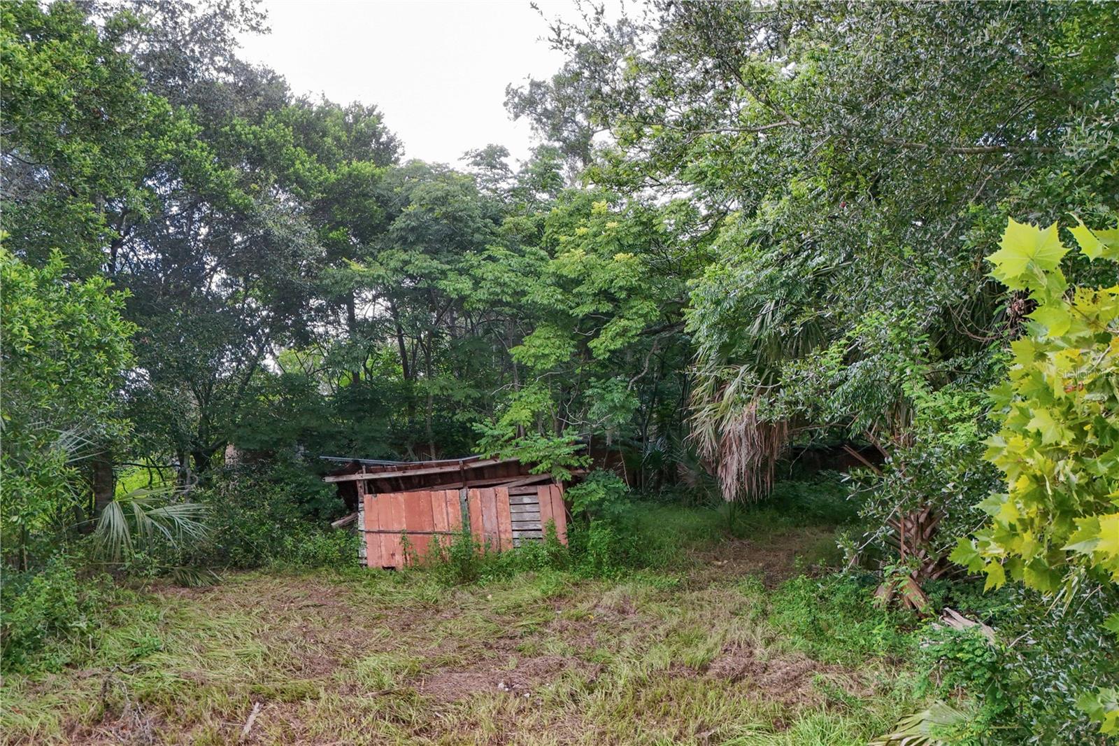 Image 6 of 18 For 6704 Mount Plymouth Road