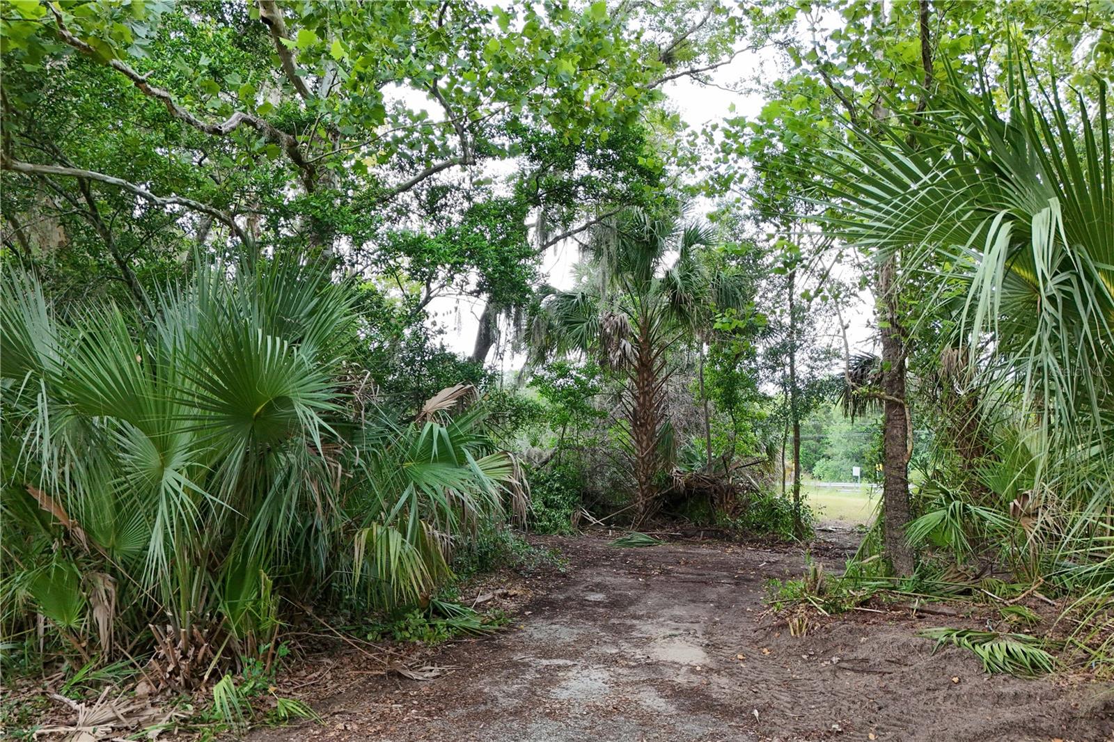Image 7 of 18 For 6704 Mount Plymouth Road