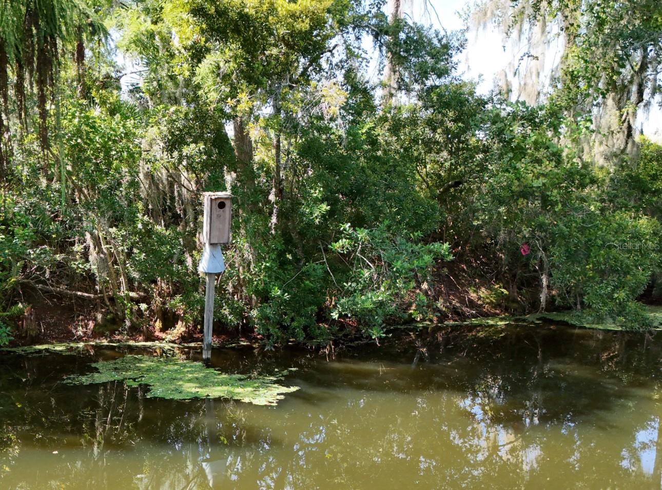 Image 39 of 46 For 35518 Cedar Lane