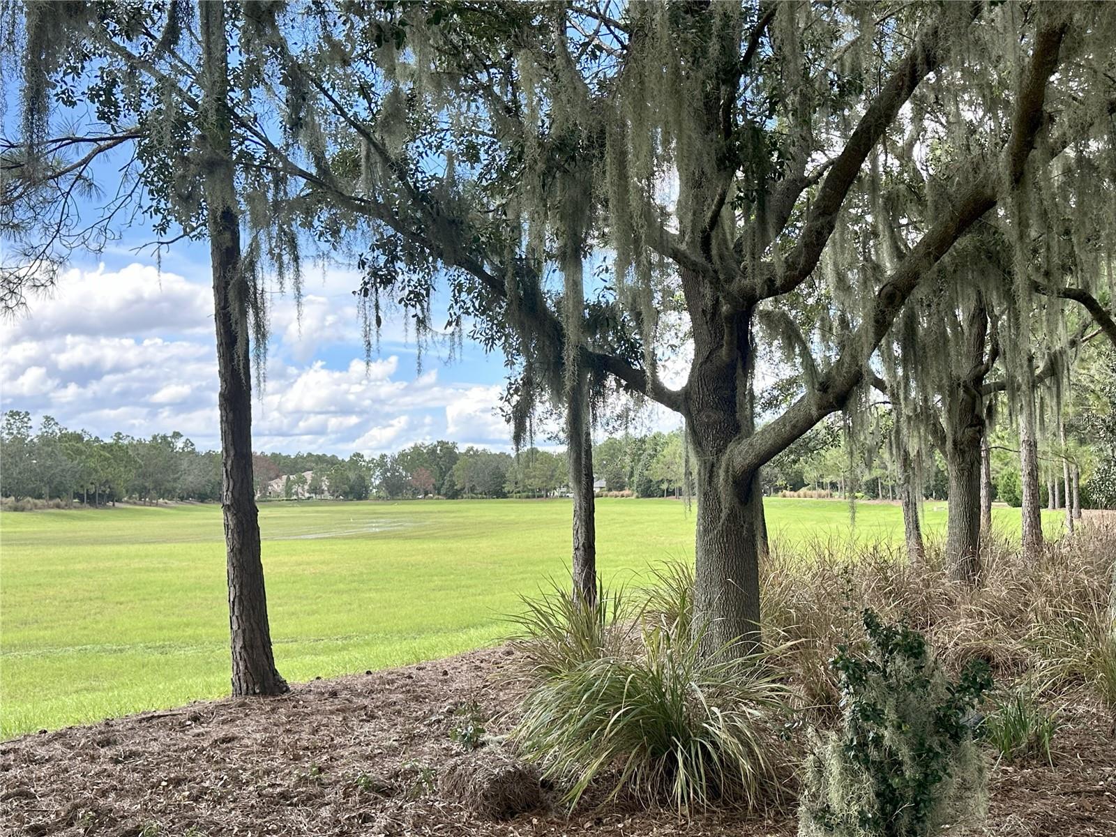 Image 7 of 11 For 17127 Etruscan Lane